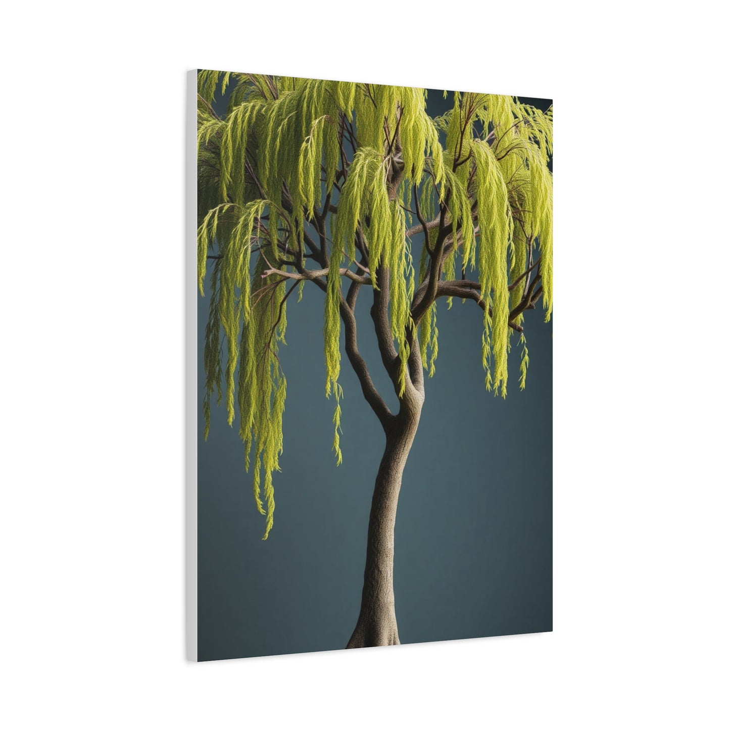 Willow Tree Art Luxury Canvas Wall Art & Canvas Print