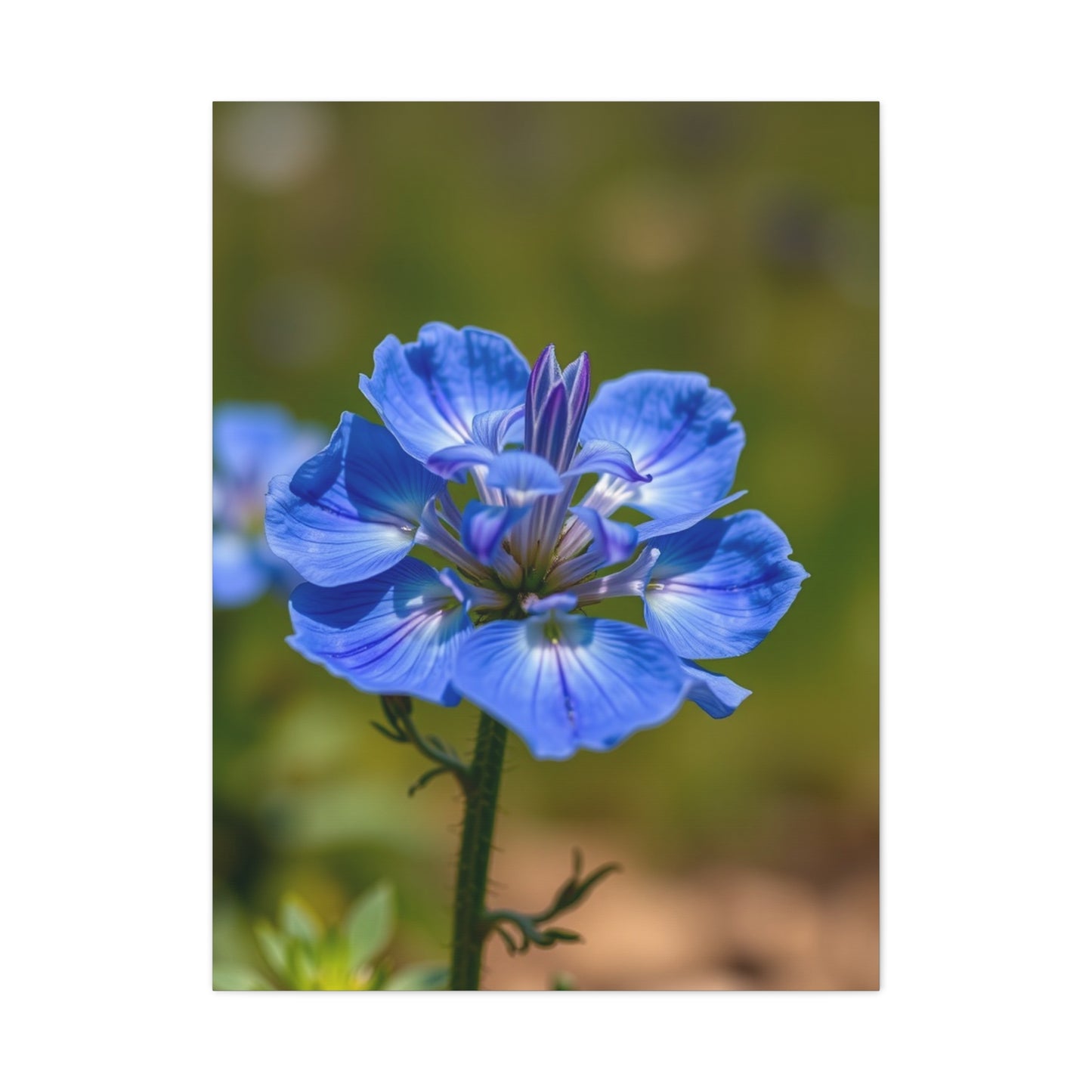 Supreme Bluebonnet Flower Art Collection Wall Art & Canvas Print