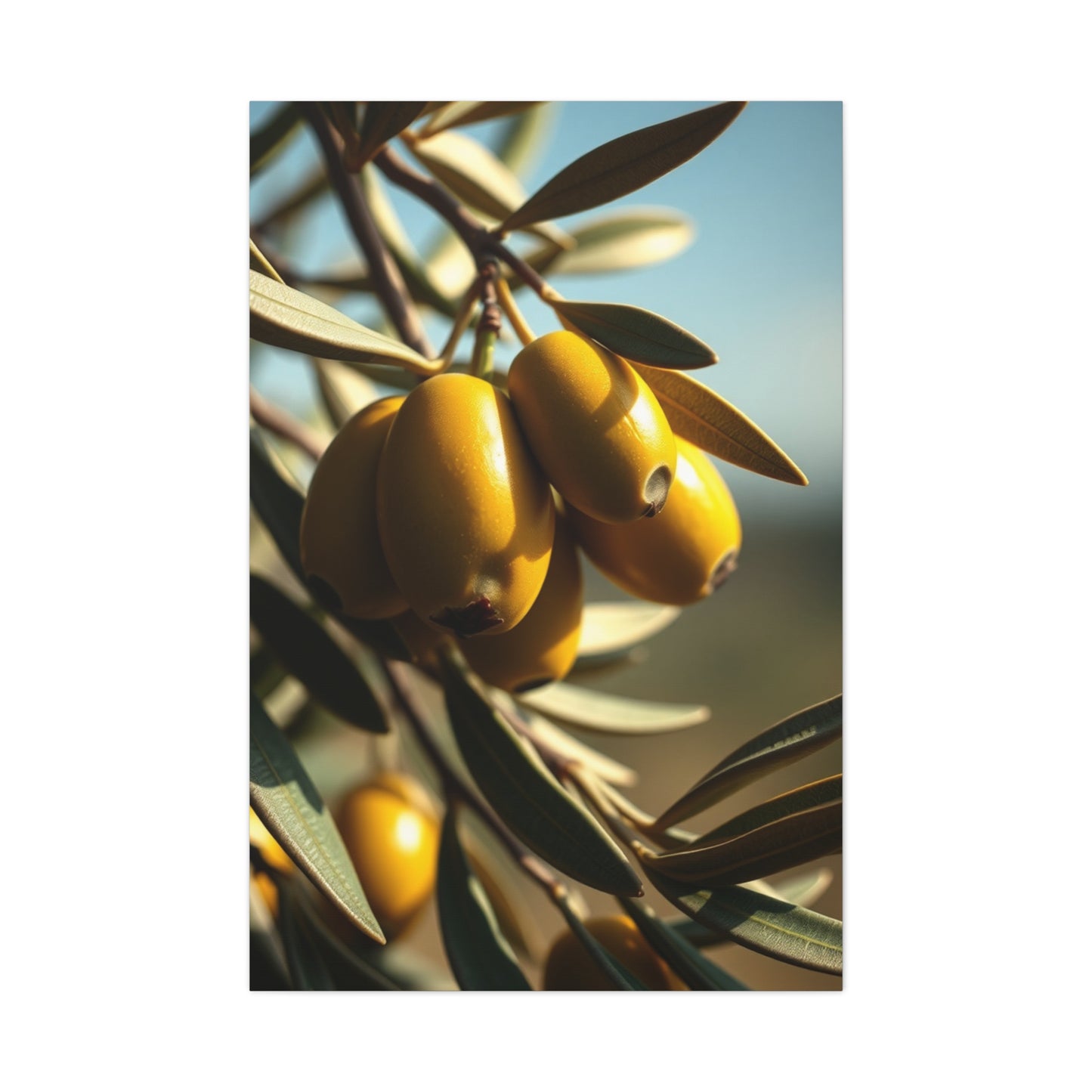 Emerald Serenity Showcase Wall Art & Canvas Print