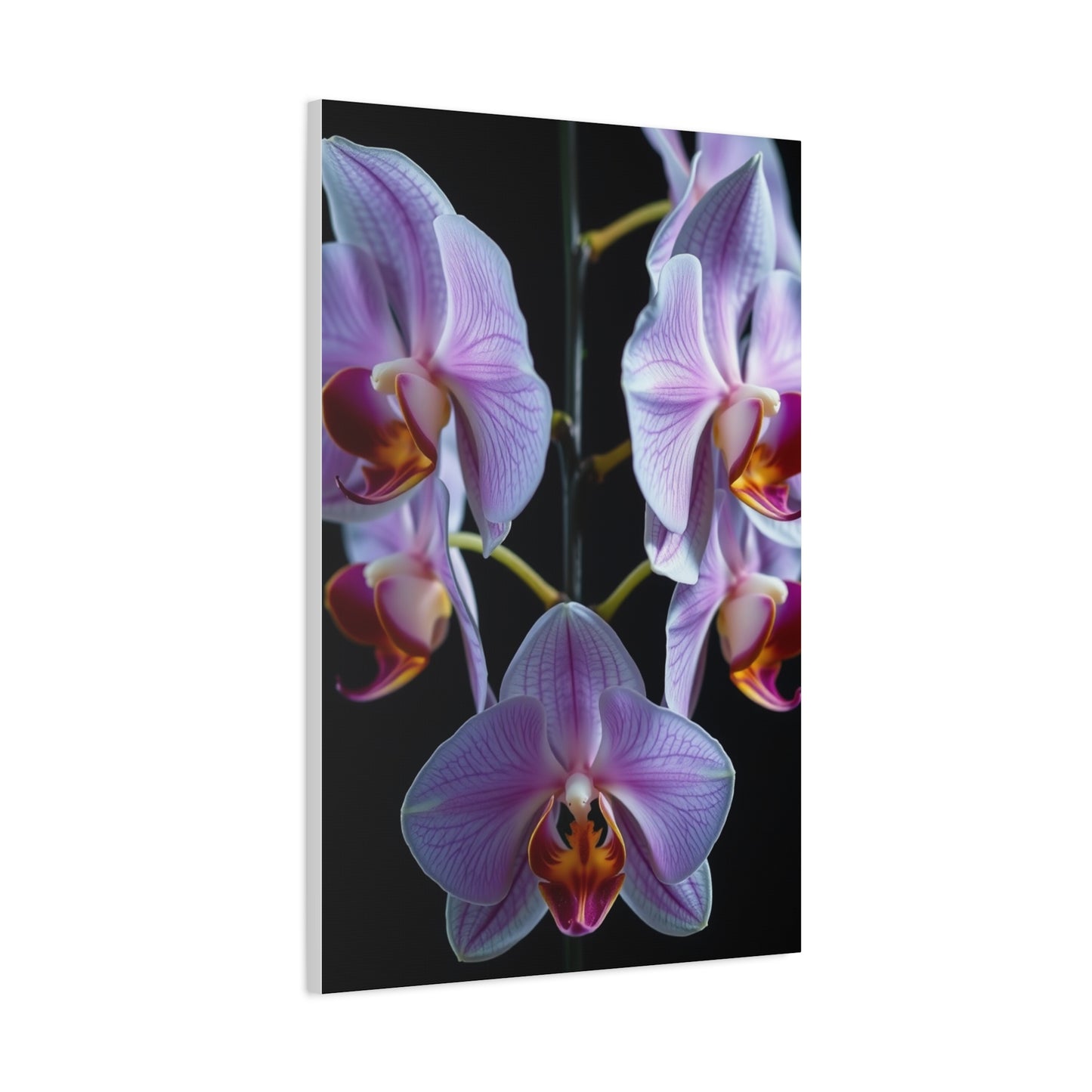 Supreme Orchid Flower Art Collection Wall Art & Canvas Print