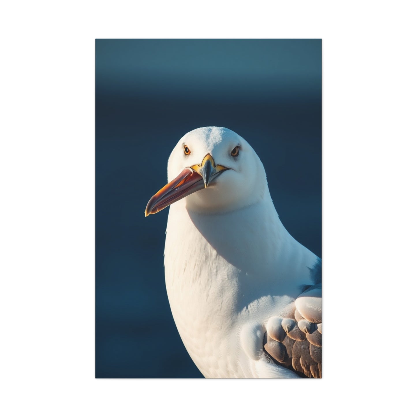 Elite Sea Gull Art Vision Wall Art & Canvas Print