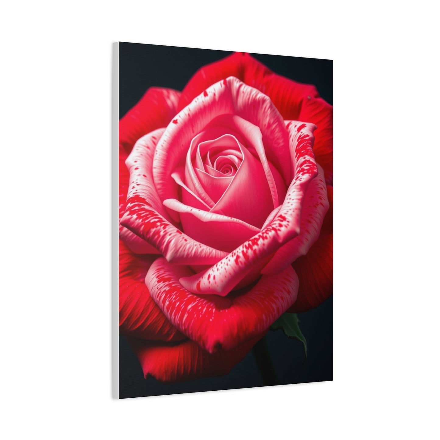 Collection Rose Flower Art Art Wall Art & Canvas Print