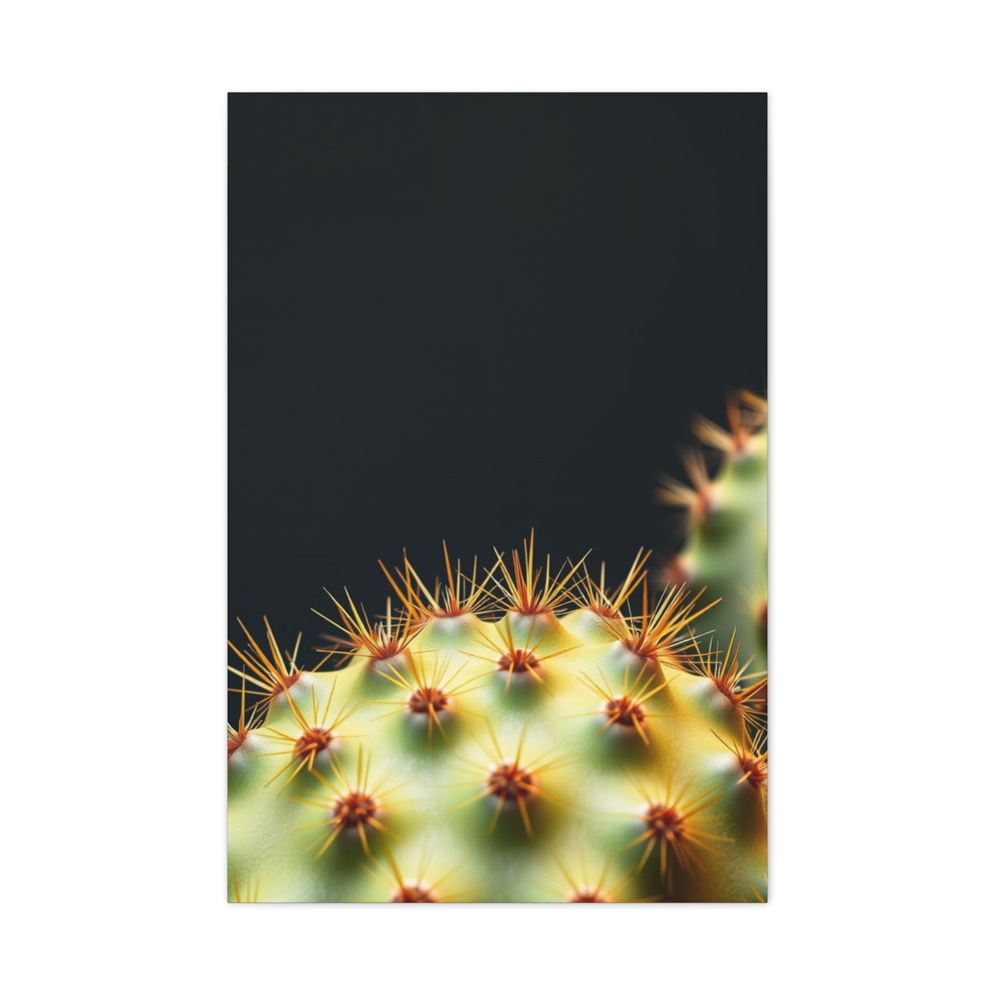 Prickly Grace Gallery Wall Art & Canvas Print
