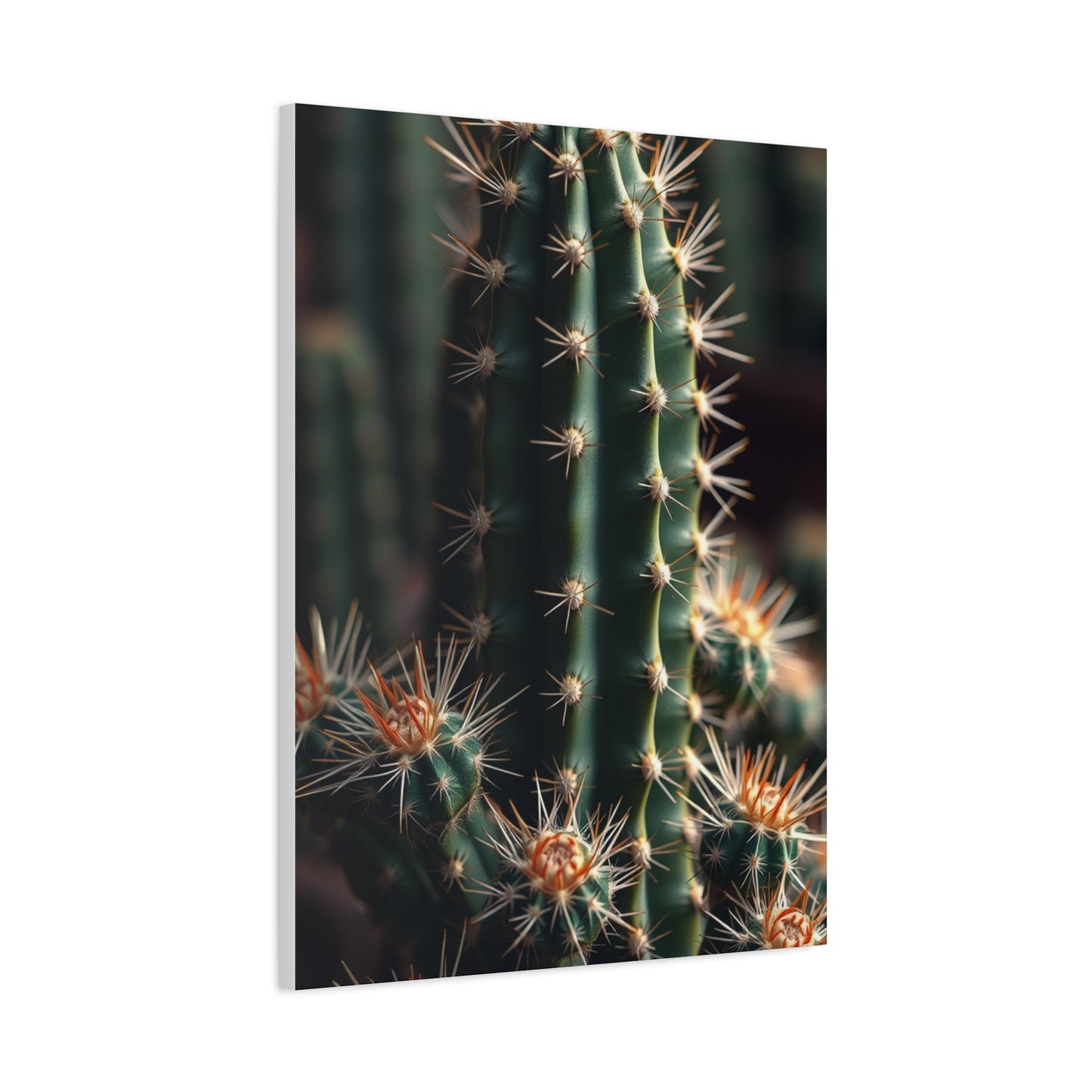 Cacti Luxe Wall Art Wall Art & Canvas Print