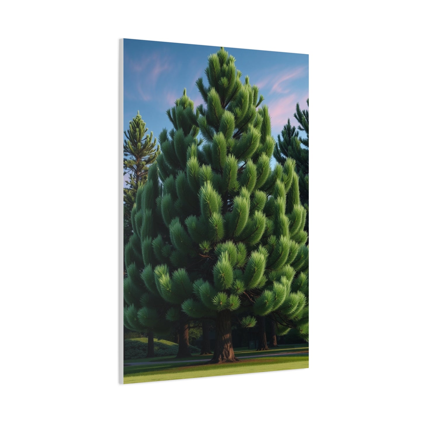Pine Tree Art Supreme Gallery Wall Art & Canvas Print