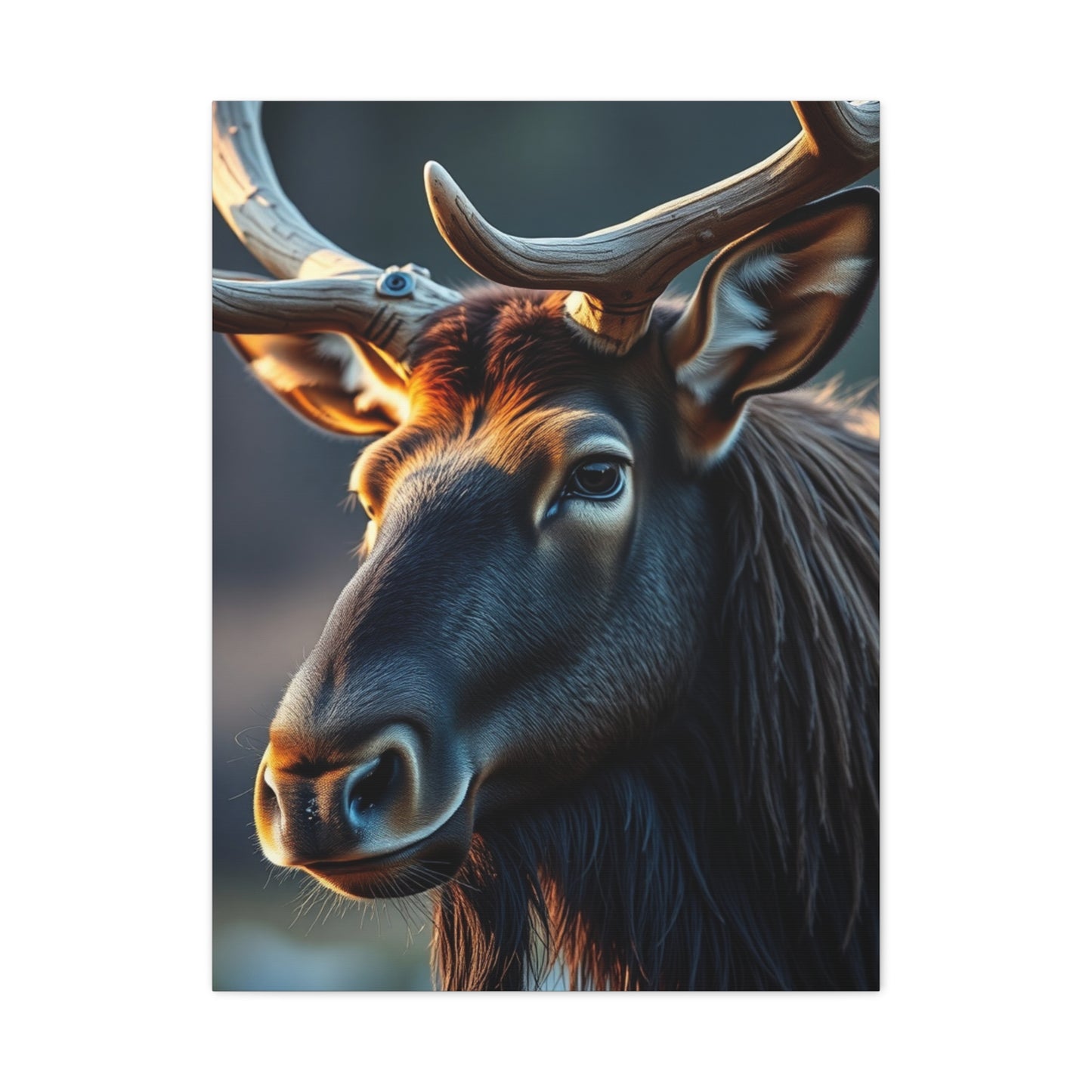 Elk Art Supreme Gallery Wall Art & Canvas Print