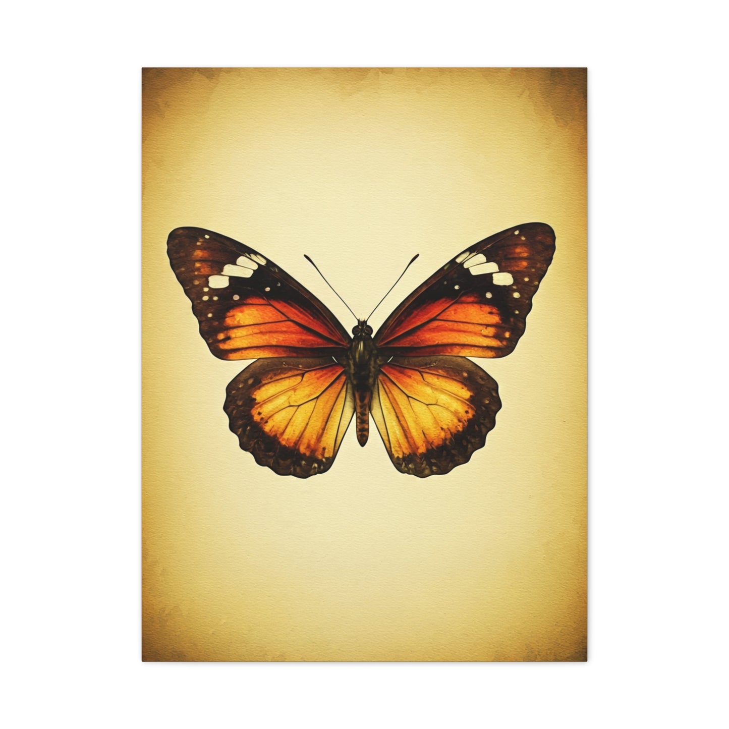 Vintage Monarch Butterfly Illustration Wall Art & Canvas Prints