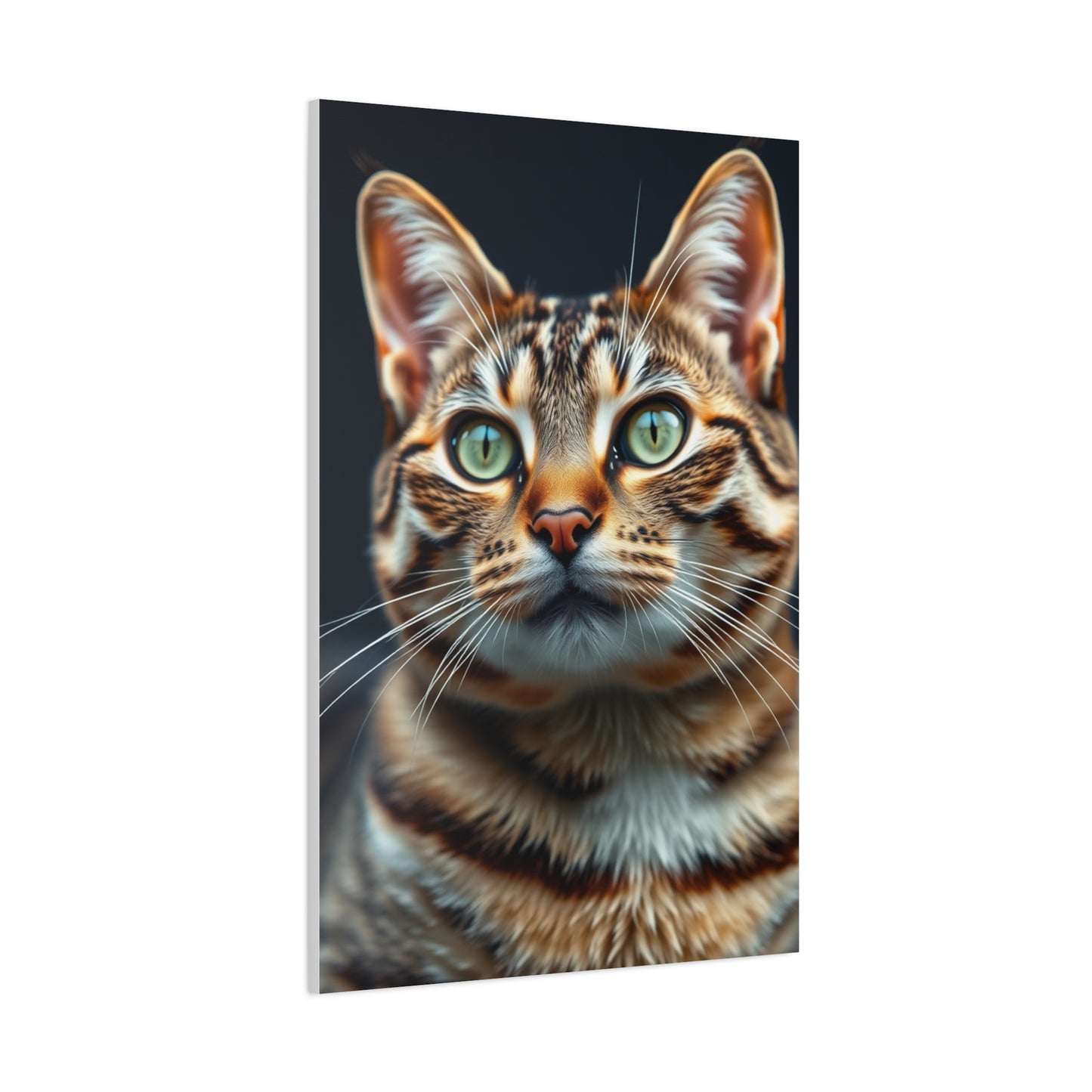 Tabby Cat Art Luxury Canvas Wall Art & Canvas Print