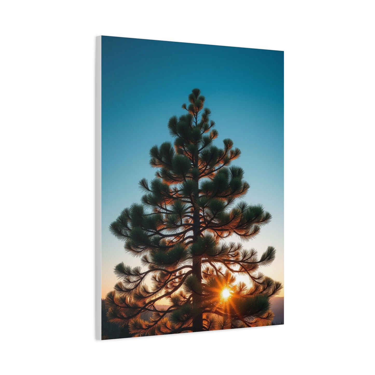 Supreme Pine Tree Art Collection Wall Art & Canvas Print