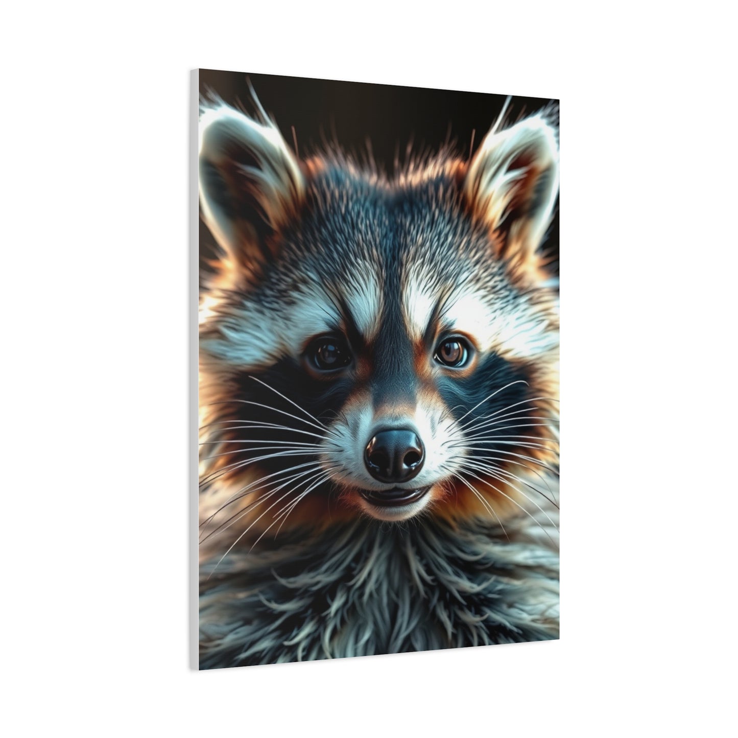 Supreme Raccoon Art Collection Wall Art & Canvas Print