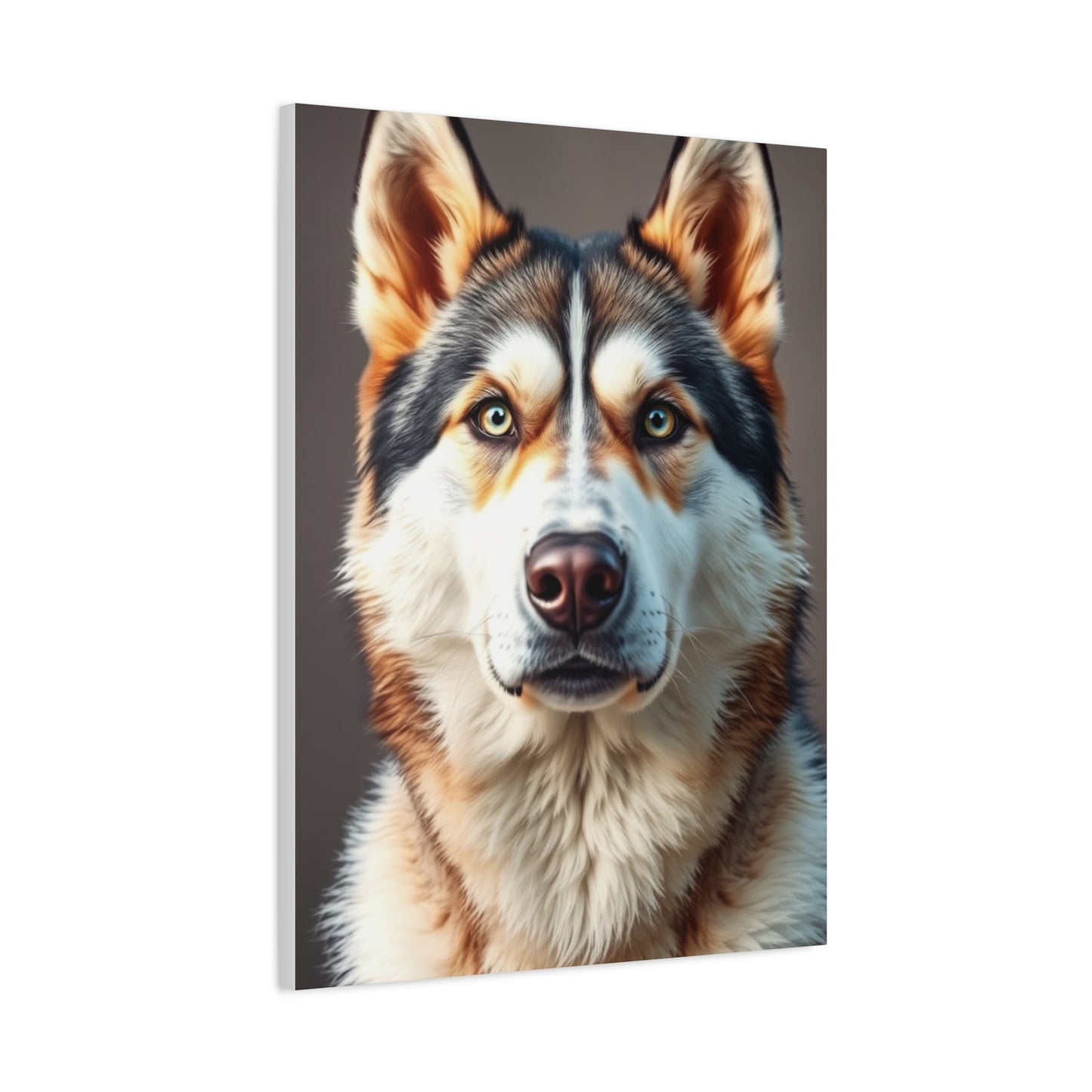 Celestial Husky Portraits