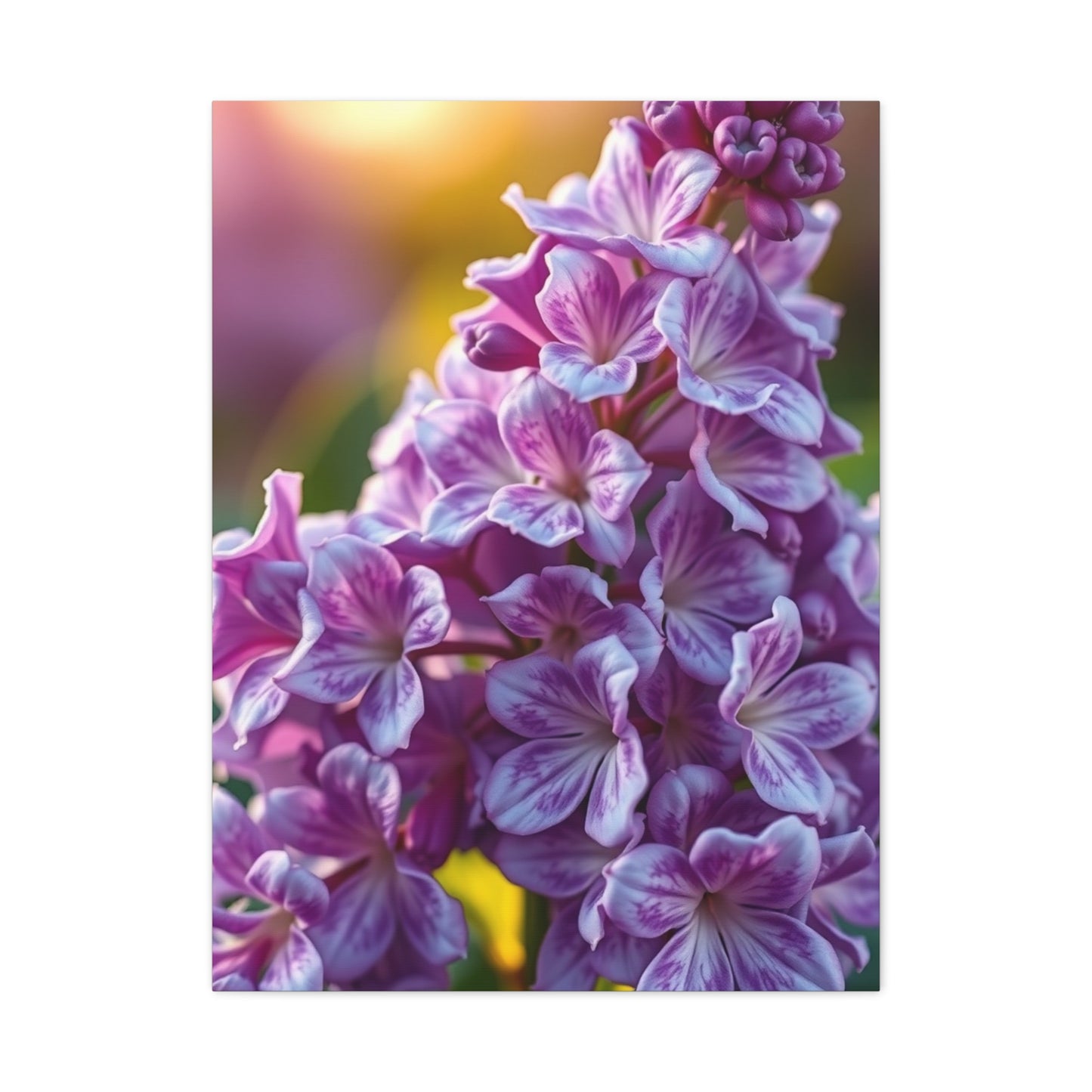 Lilac Flower Art Refined Canvas Wall Art & Canvas Print
