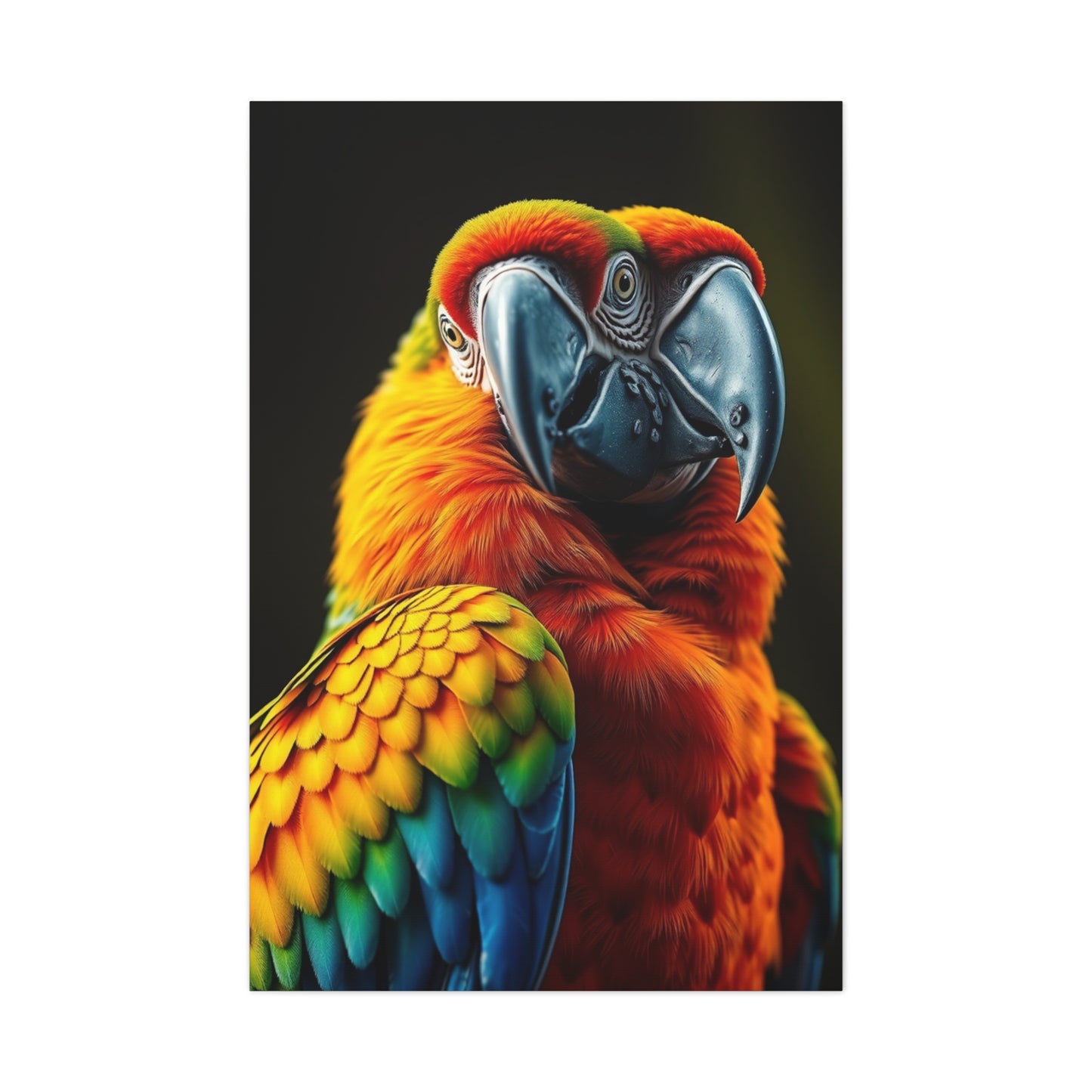 Supreme Parrot Art Collection Wall Art & Canvas Print