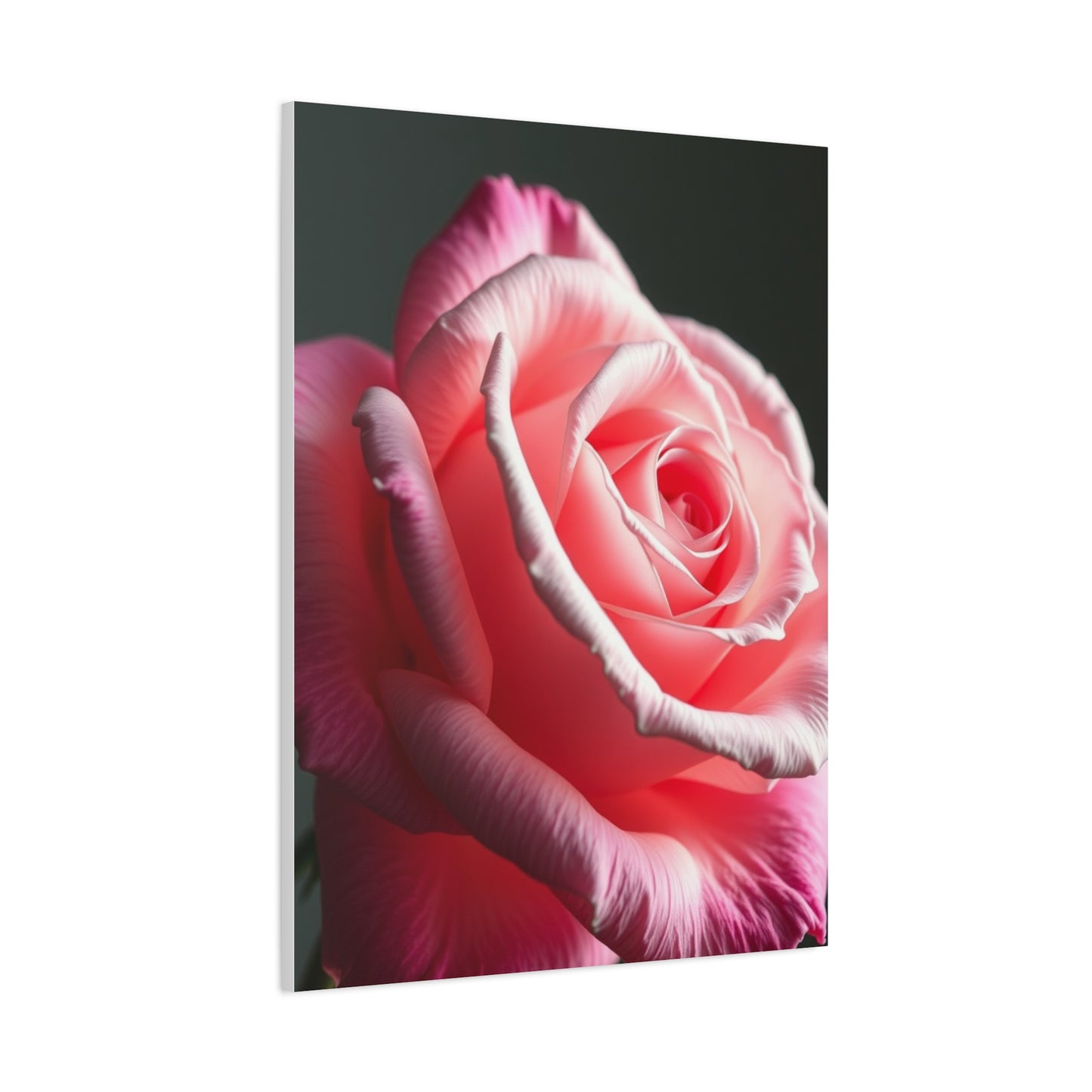 Supreme Rose Flower Art Collection Wall Art & Canvas Print