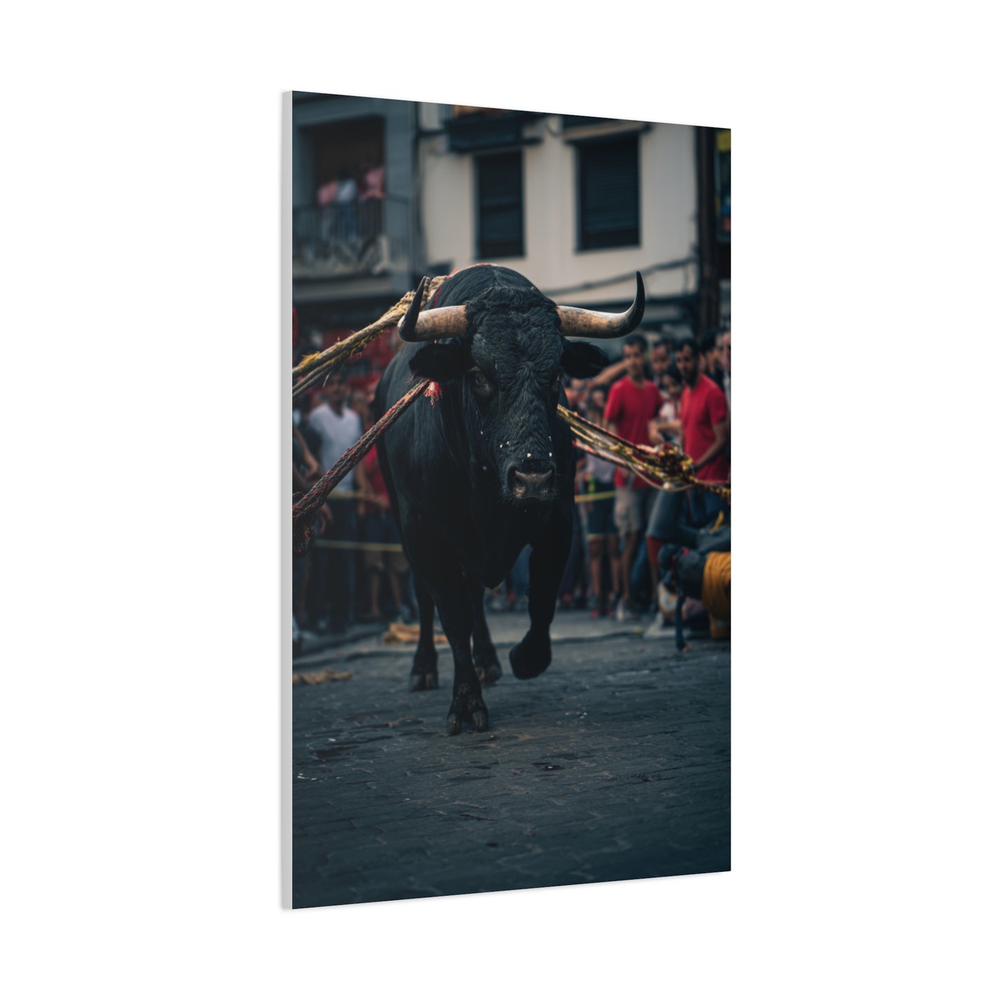 Bull Guided Through Festival Streets Wall Art & Canvas Print
