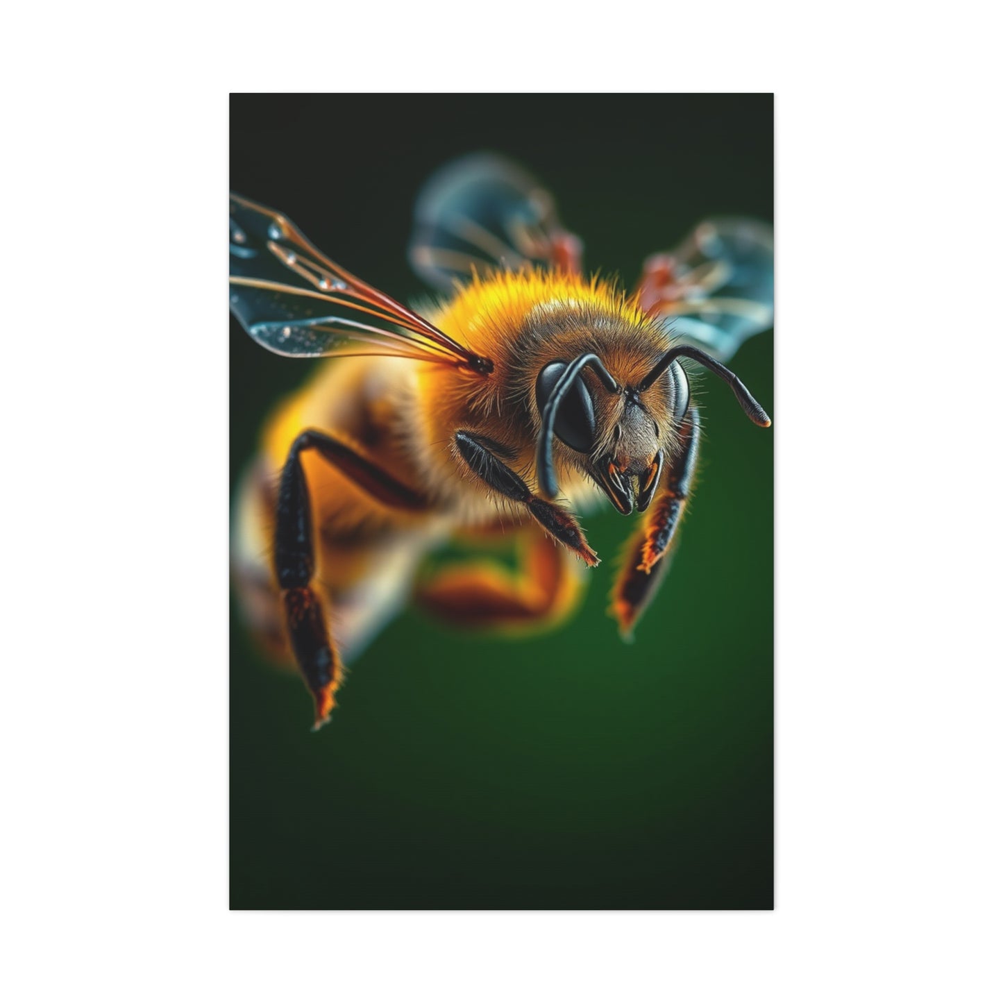 Supreme Bees Art Collection Wall Art & Canvas Print