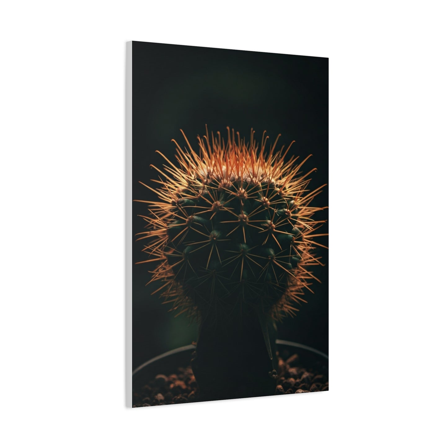 Midnight Desert Cactus Wall Art & Canvas Prints