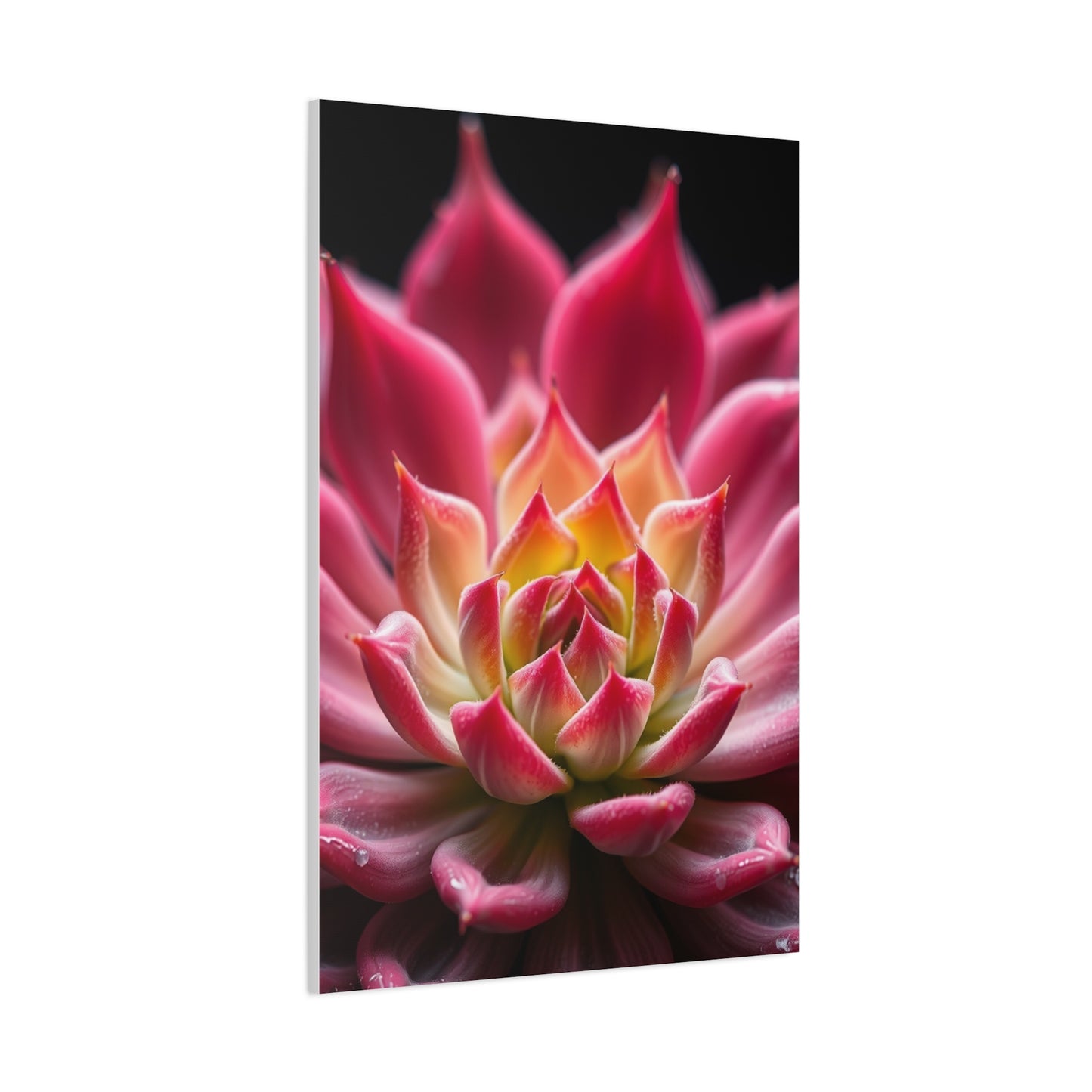 Succulent Art Supreme Gallery Wall Art & Canvas Print