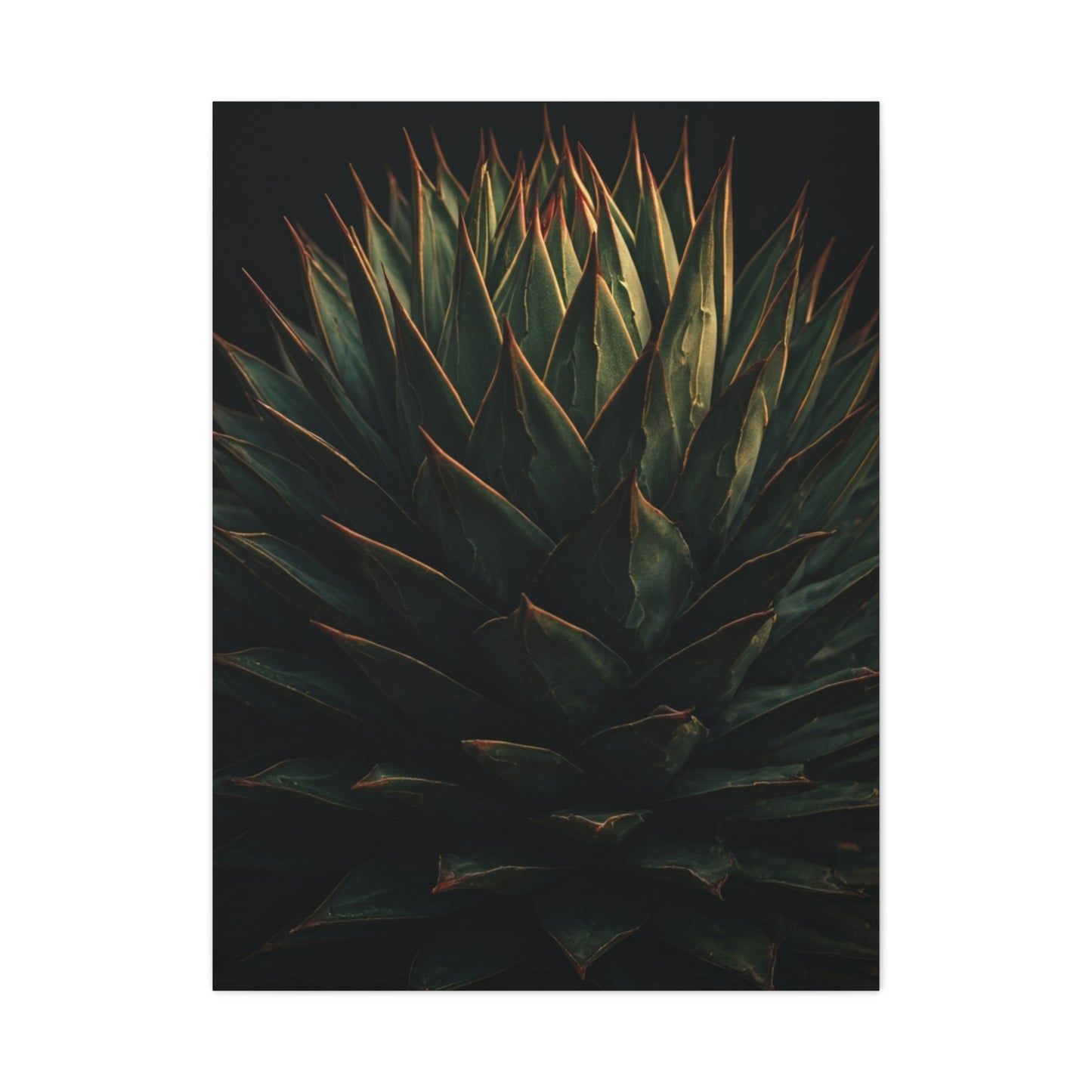 Emerald Agave Close-Up Wall Art & Canvas Prints
