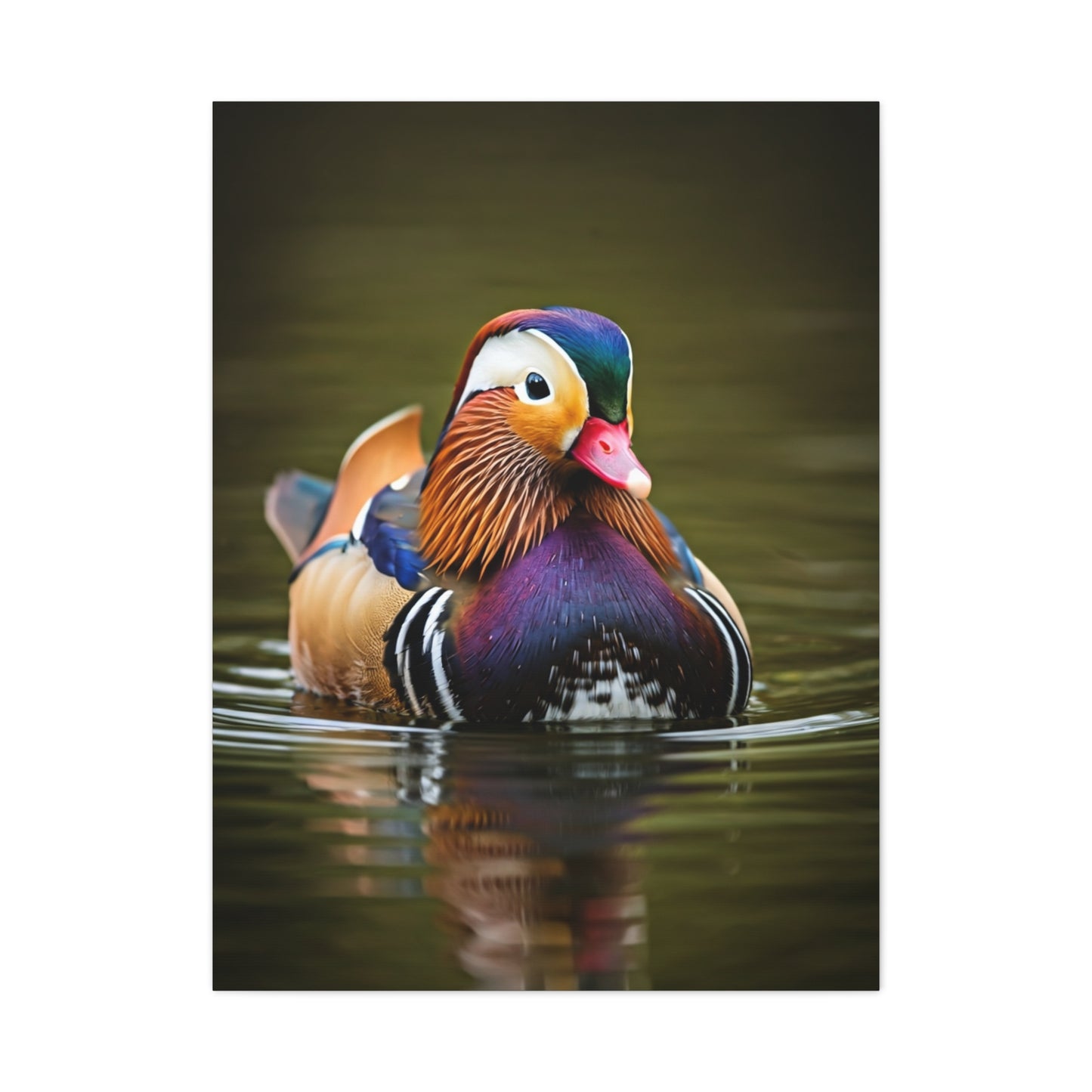 Mandarin Duck with Colorful Plumage Wall Art & Canvas Prints