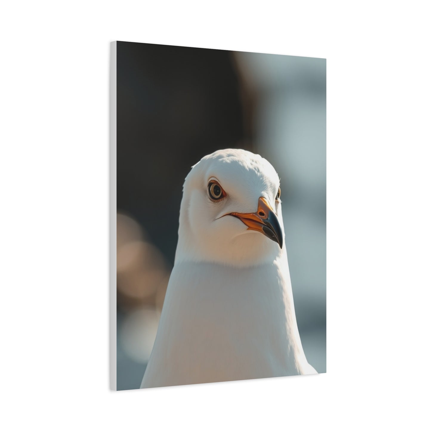 Sea Gull Art Supreme Gallery Wall Art & Canvas Print