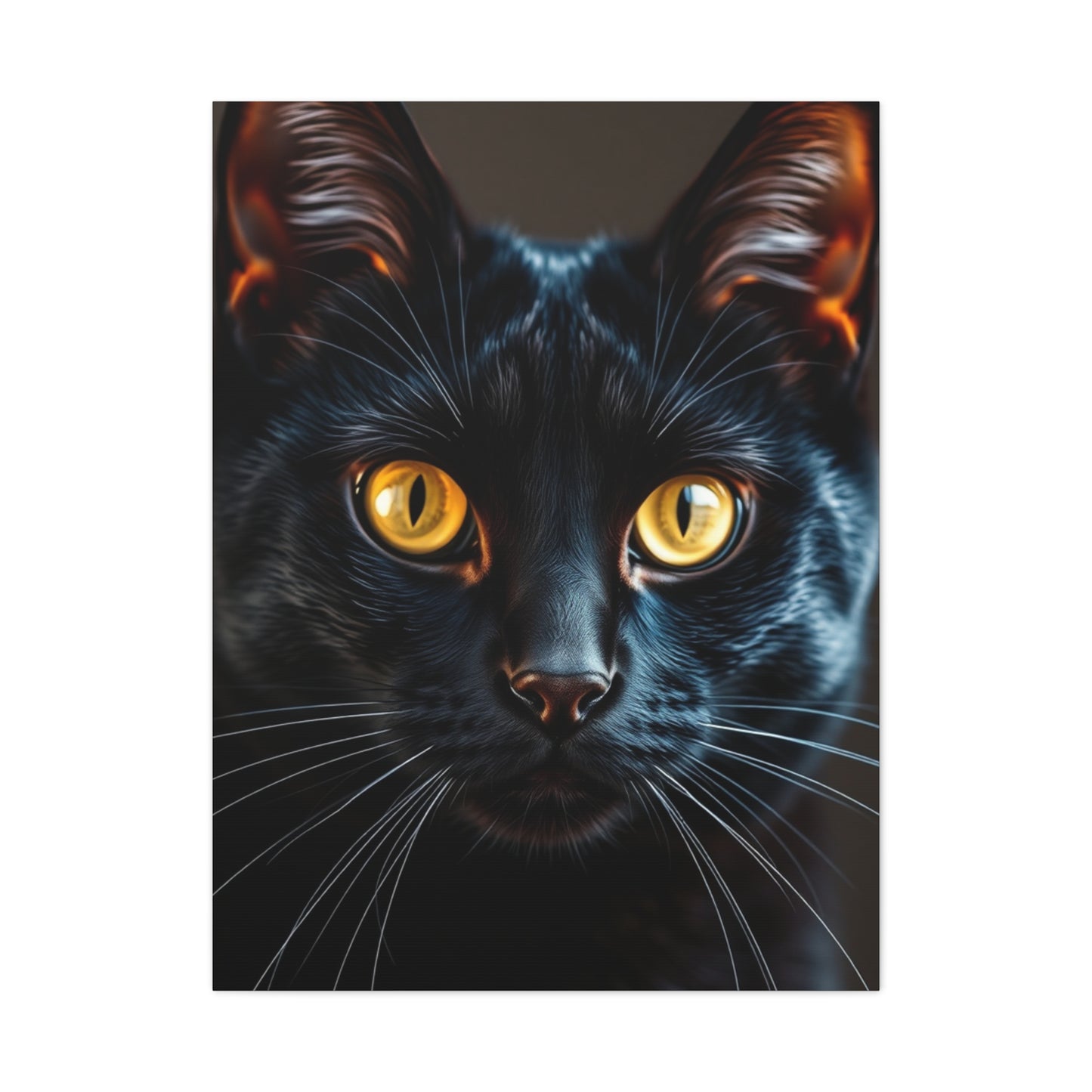 Black Cat Art Luxury Canvas Wall Art & Canvas Print