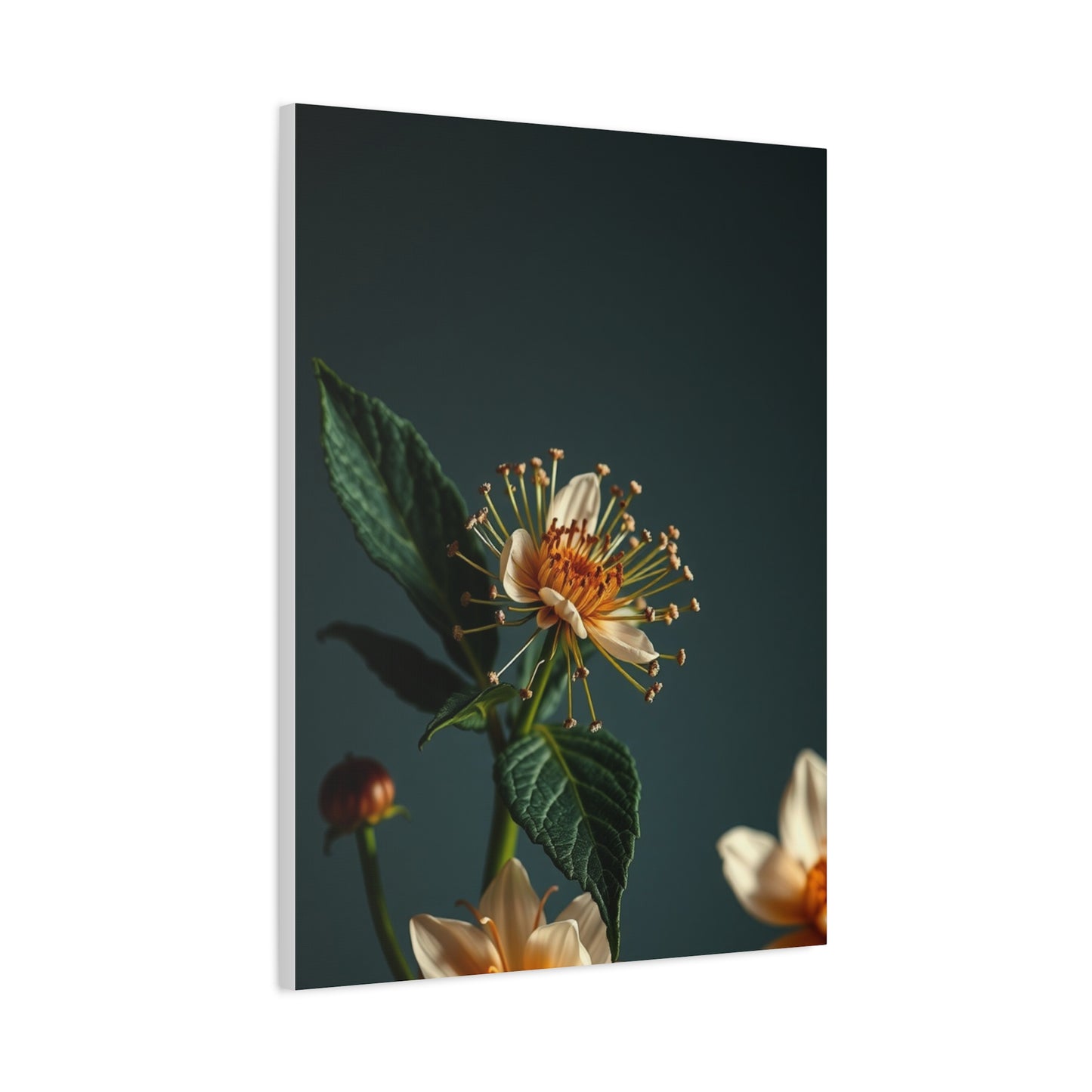 Supreme Flowers and Botanicals Art Collection Wall Art & Canvas Print