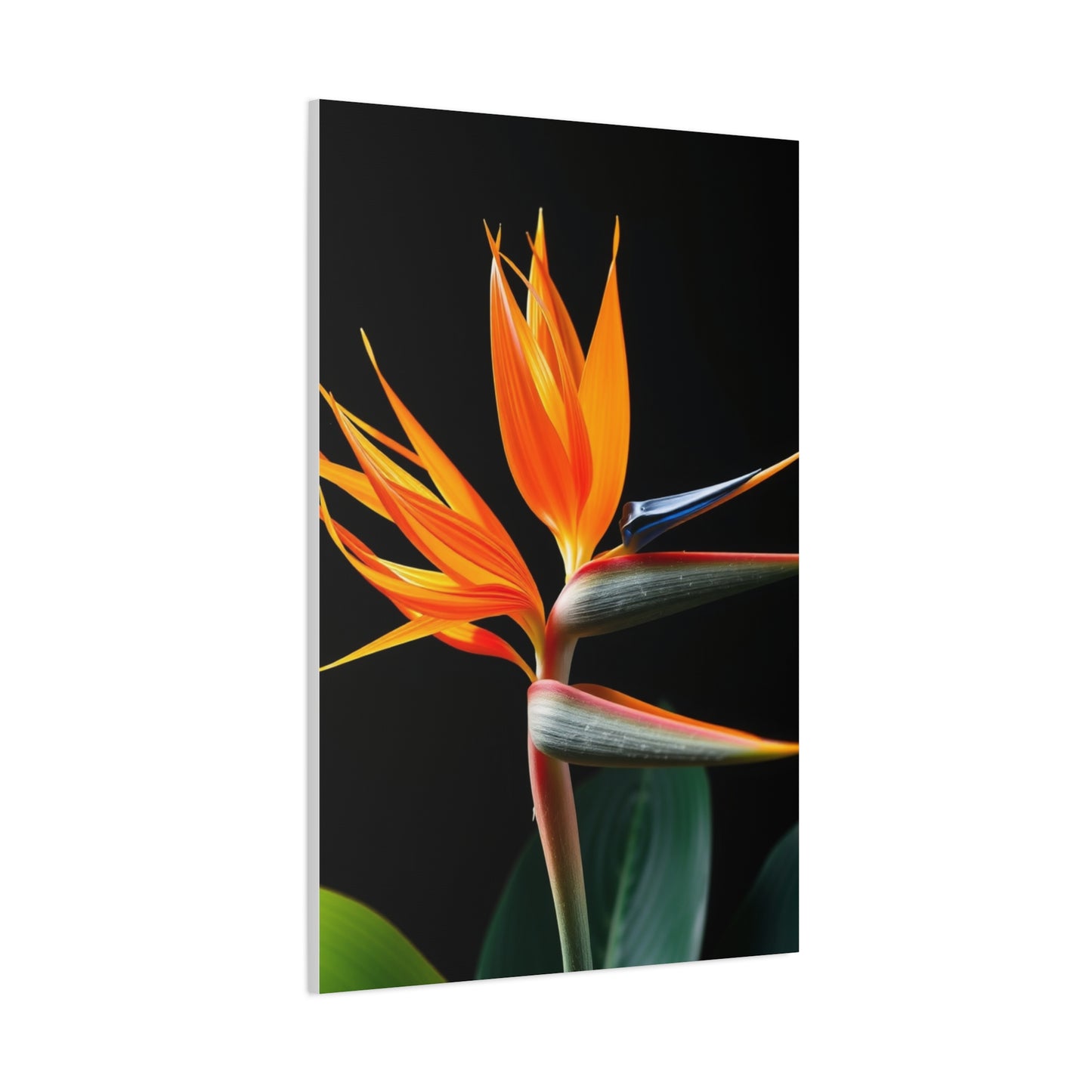 Bird of Paradise Plant Art Luxury Canvas Wall Art & Canvas Print