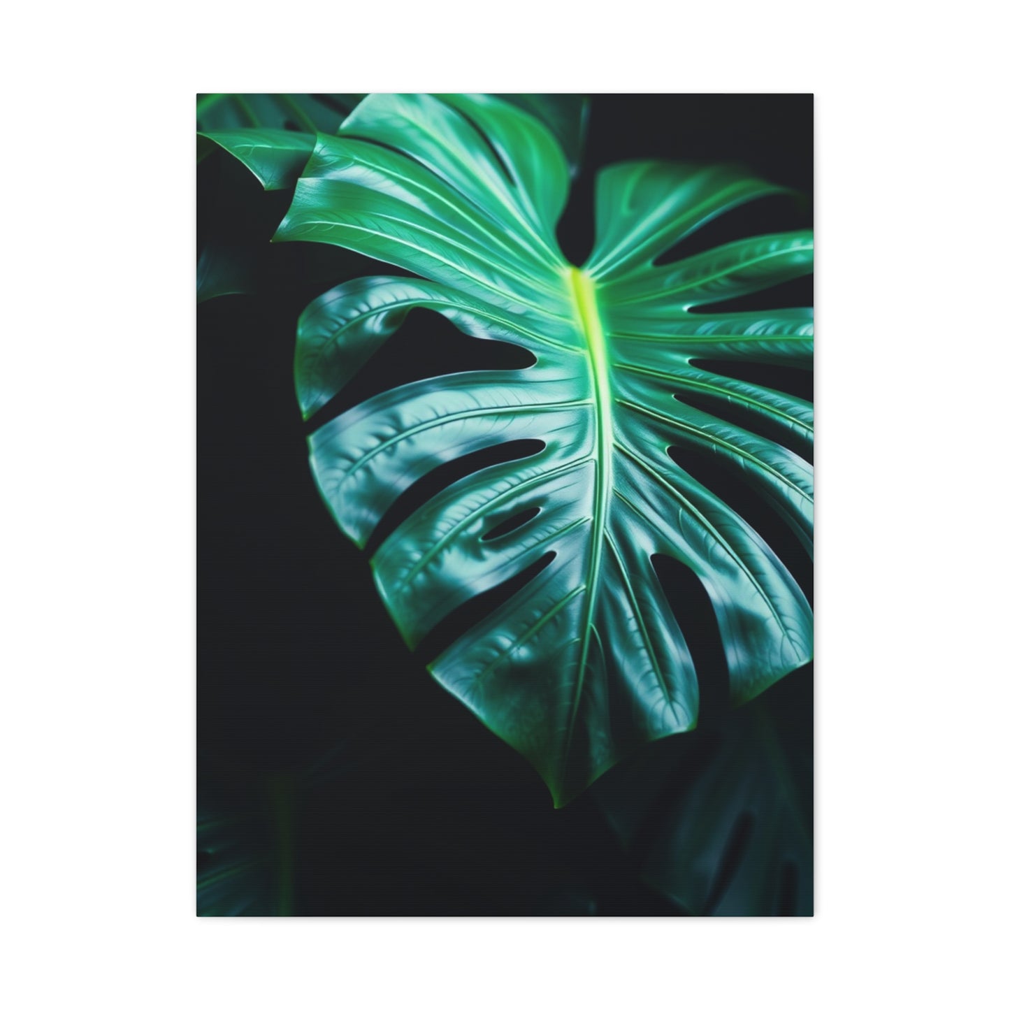 Monstera Plant Art Luxury Canvas Wall Art & Canvas Print