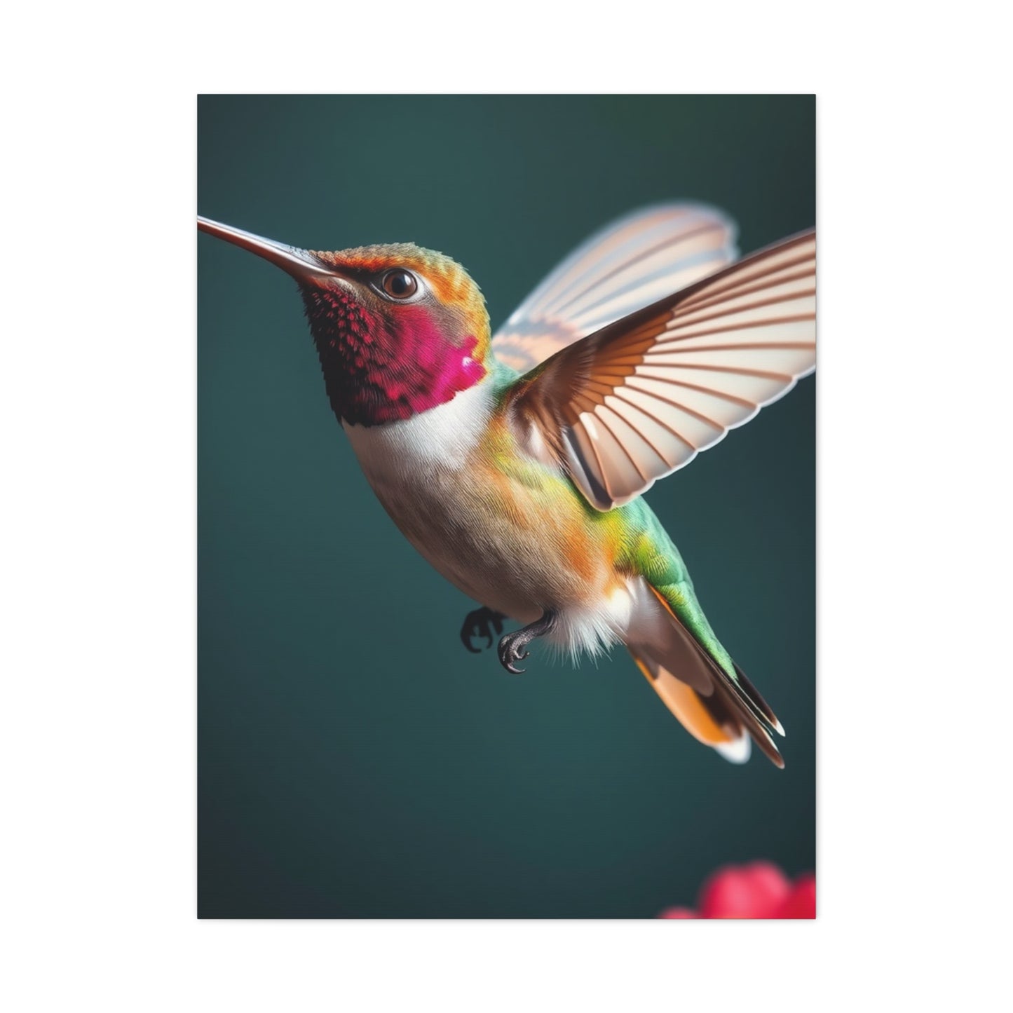 Humming Bird Art Refined Canvas Wall Art & Canvas Print