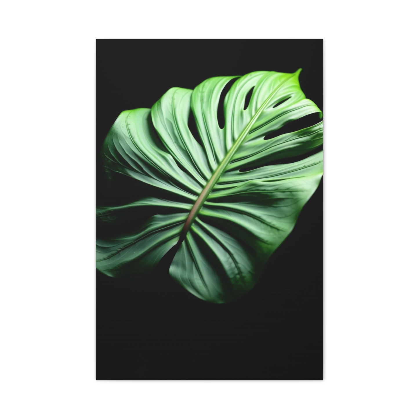 Monstera Plant Art Supreme Gallery Wall Art & Canvas Print