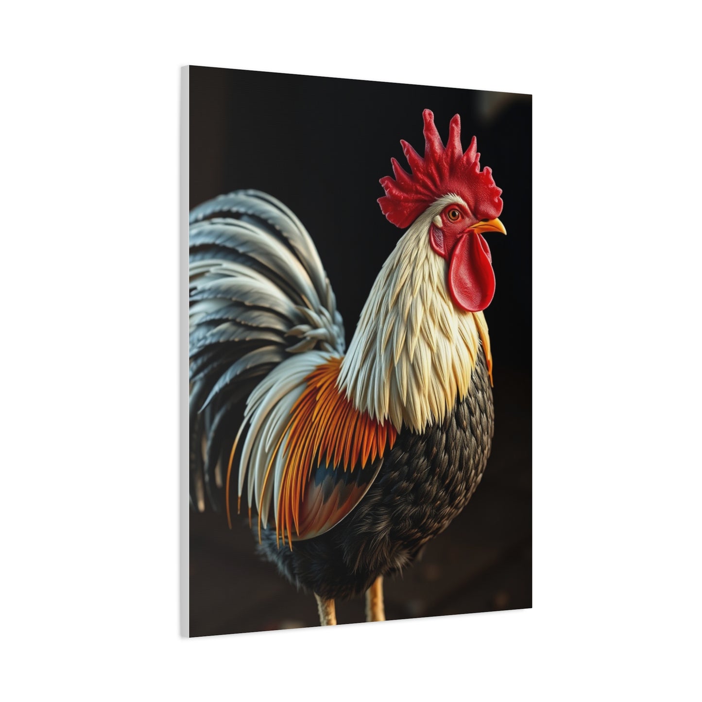 Ornate Avifauna Gallery