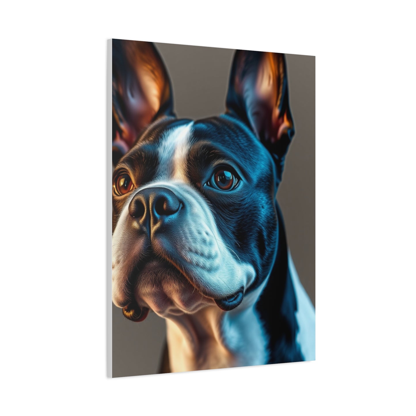 Boston Terrier Art Supreme Gallery Wall Art & Canvas Print