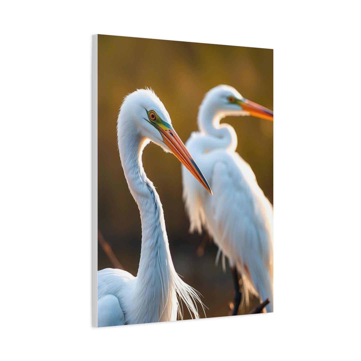 Herons and Egrets Art Luxury Canvas Wall Art & Canvas Print