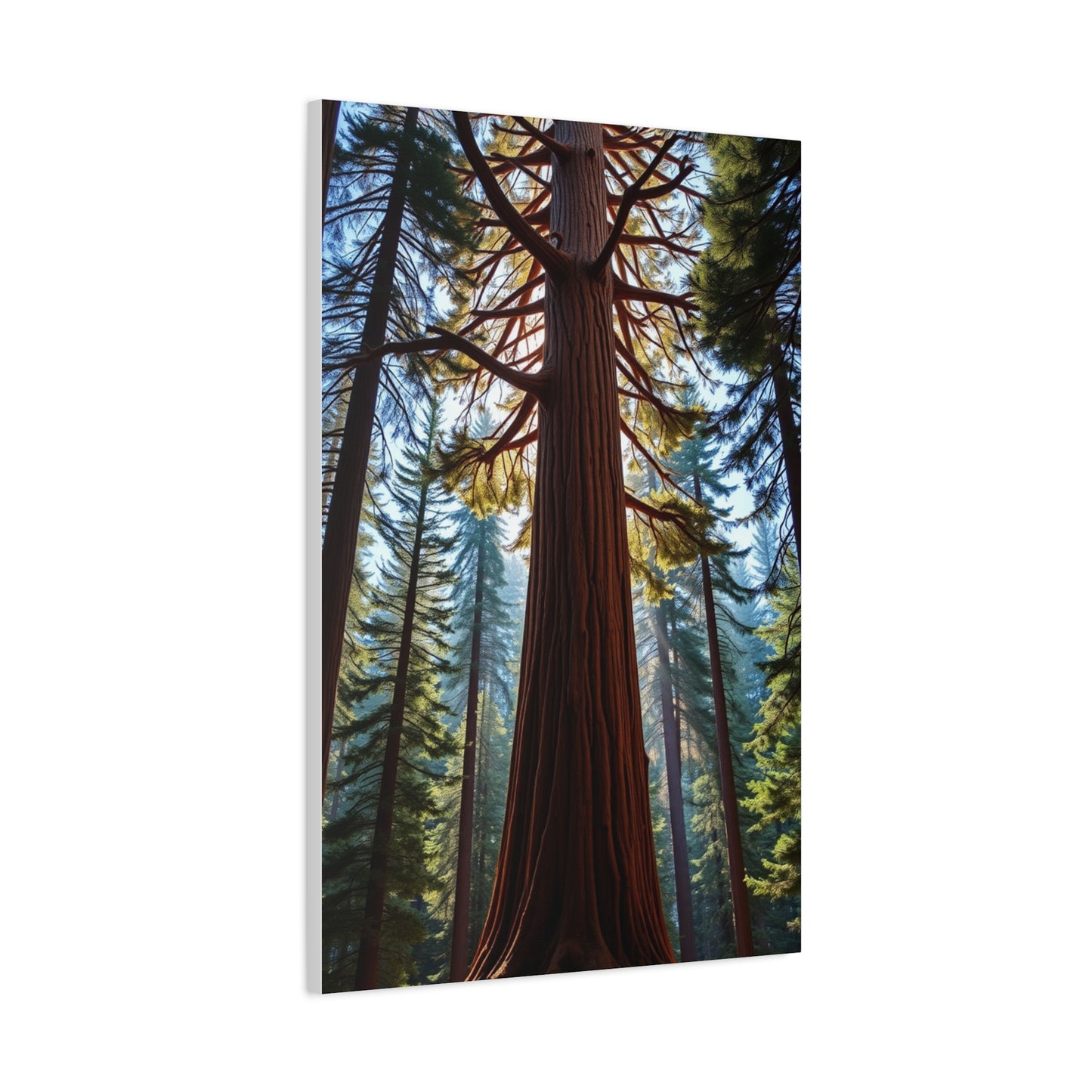 Masterpiece Redwood Tree Art Vision Wall Art & Canvas Print