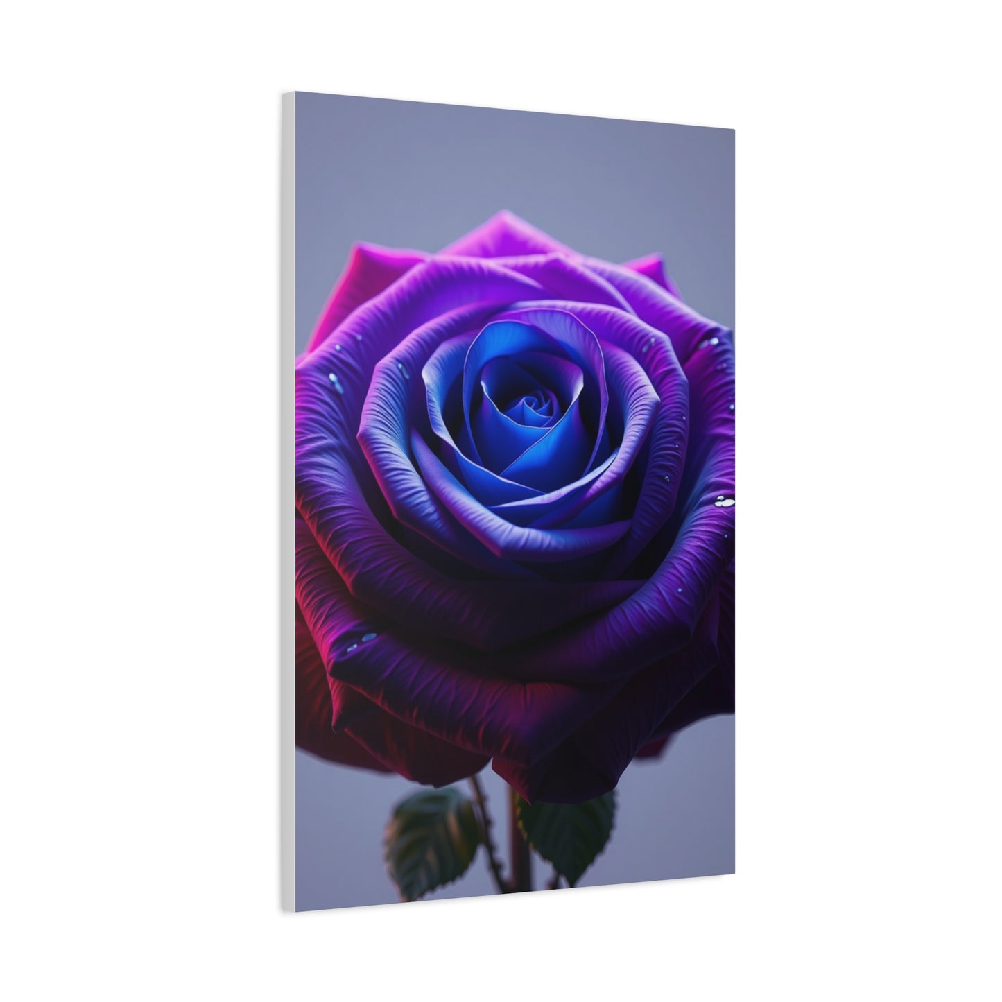 Elite Rose Art Vision Wall Art & Canvas Print