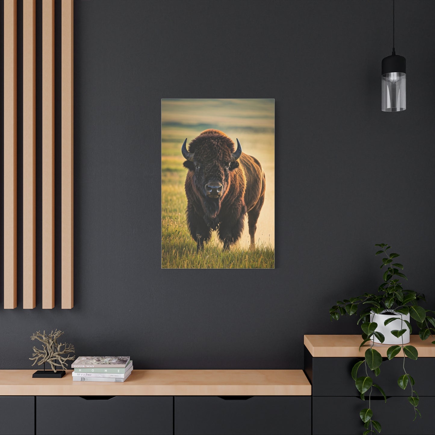 American Baby Bison Walking Through Prairie Grass Wall Art & Canvas Print