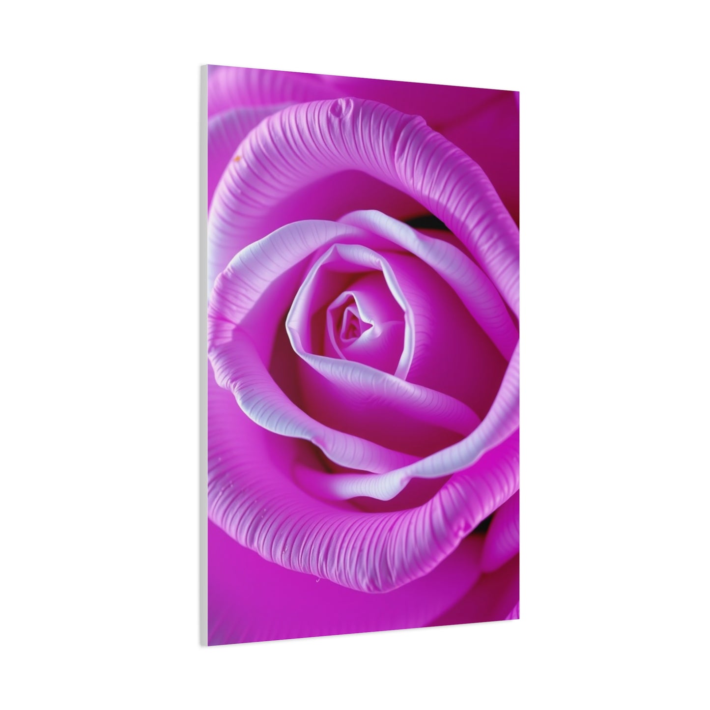 Rose Art Supreme Gallery Wall Art & Canvas Print