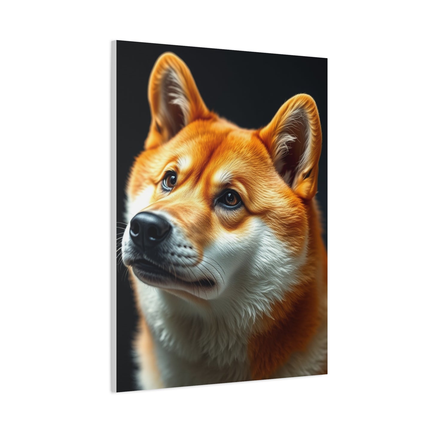 Shiba Inu Dog Art Luxury Canvas Wall Art & Canvas Print