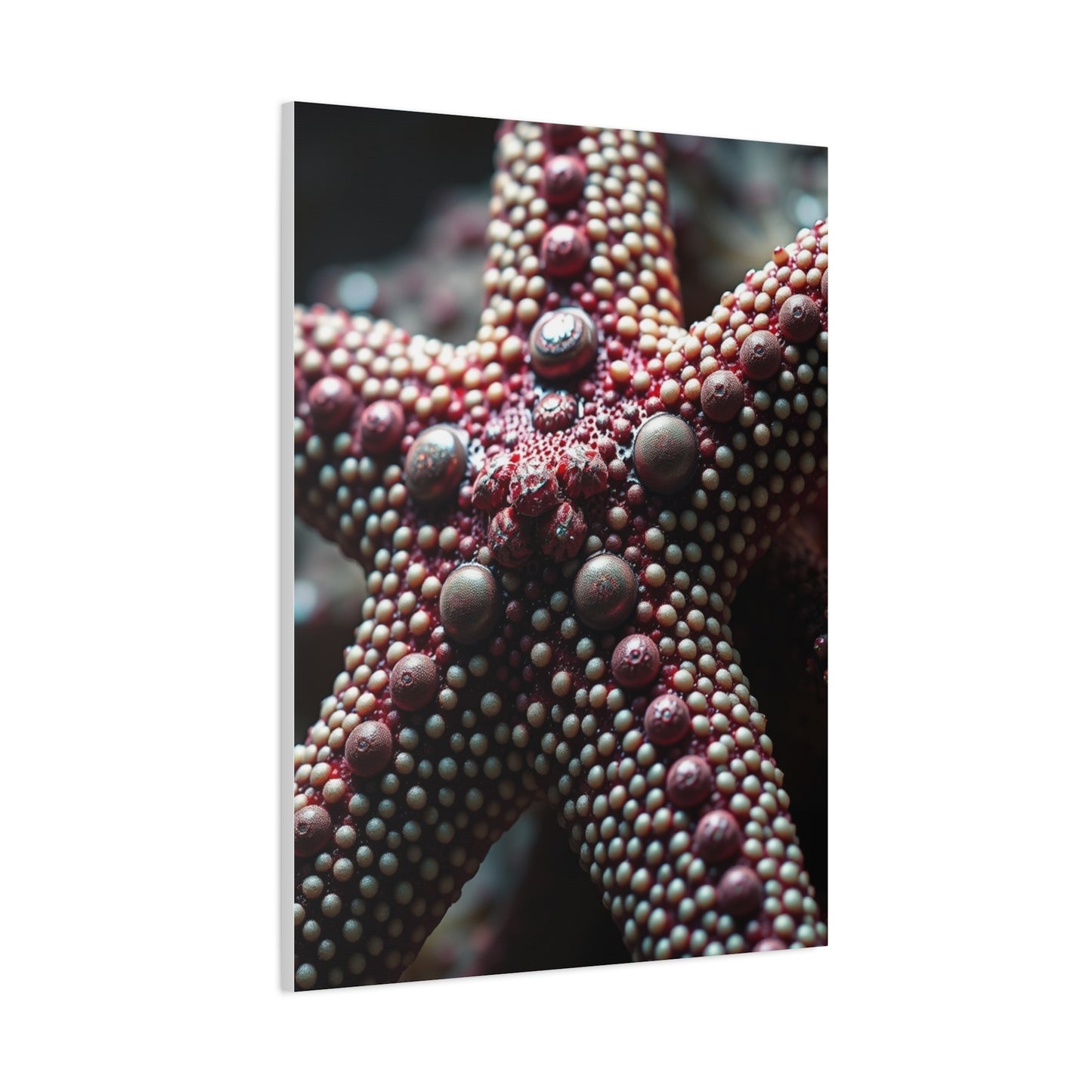Starfish Art Luxury Canvas Wall Art & Canvas Print