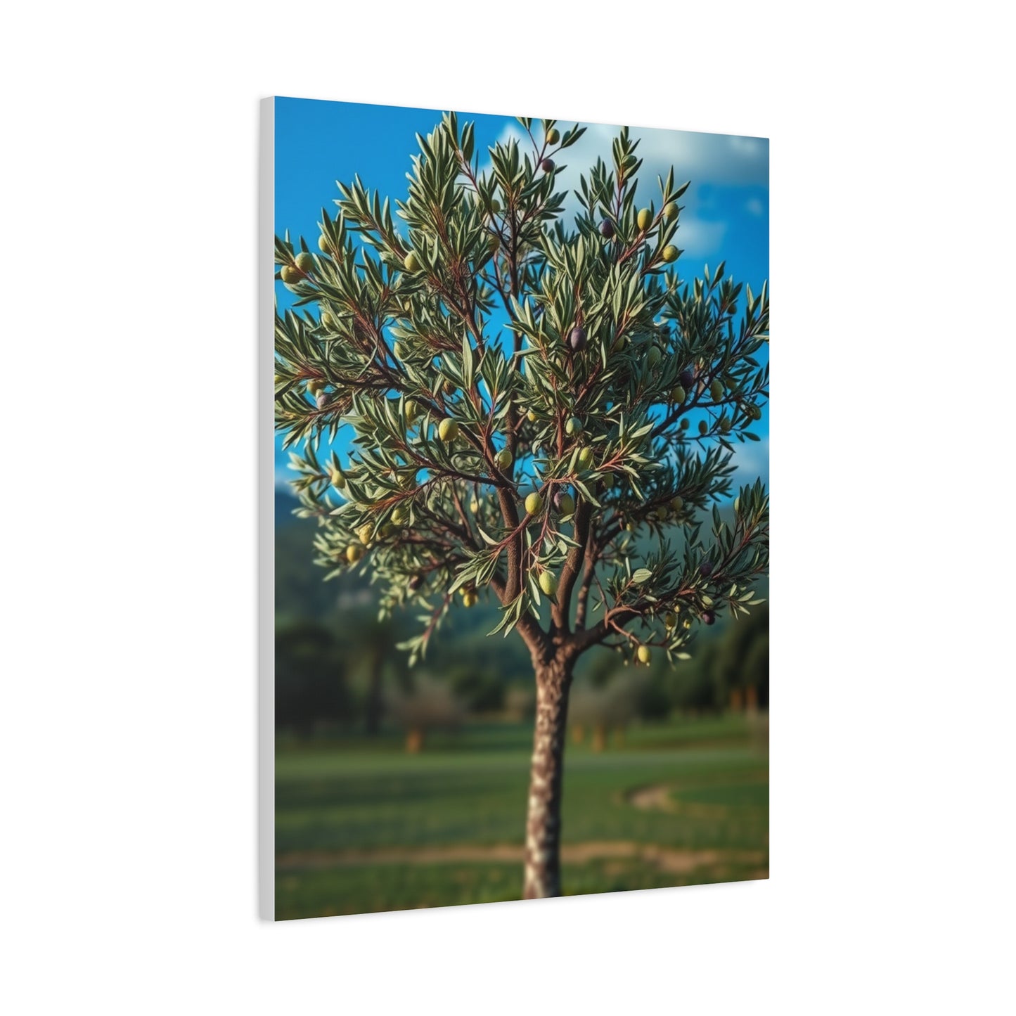 Vision Olive Tree Art Art Wall Art & Canvas Print