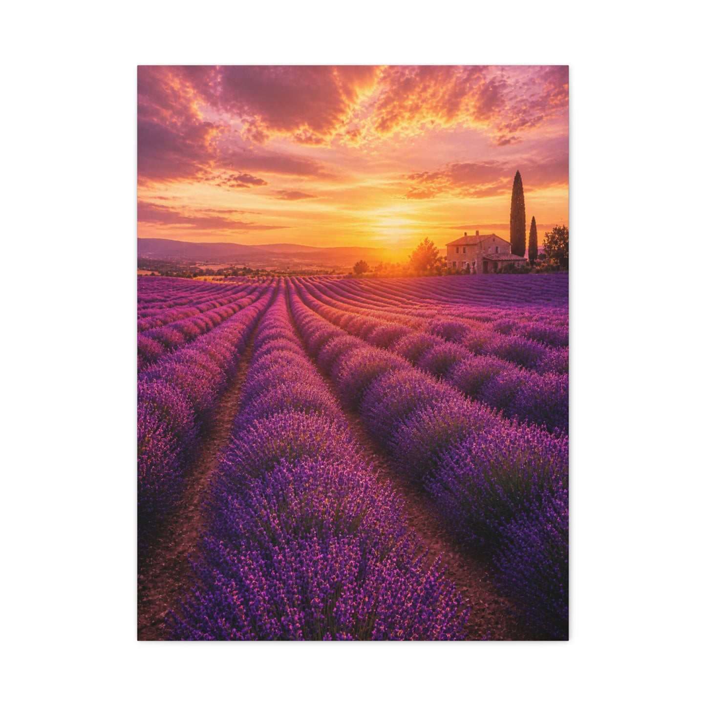 Lavender Fields Sunset Landscape Wall Art & Canvas Print