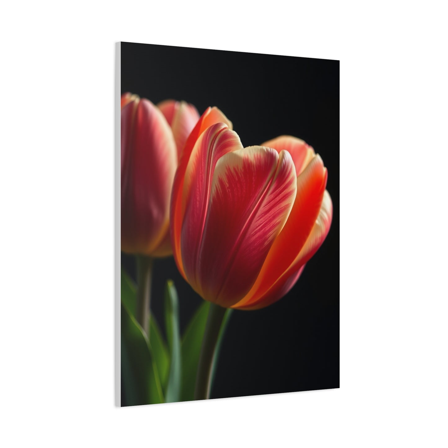 Tulip Flower Art Supreme Gallery Wall Art & Canvas Print