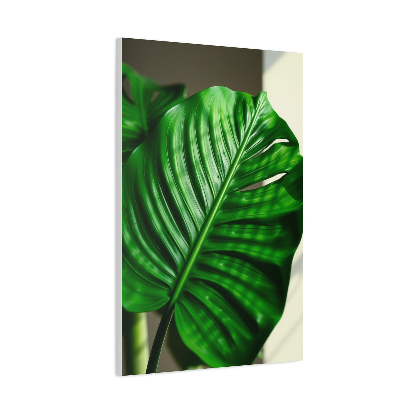 Supreme Monstera Plant Art Collection Wall Art & Canvas Print