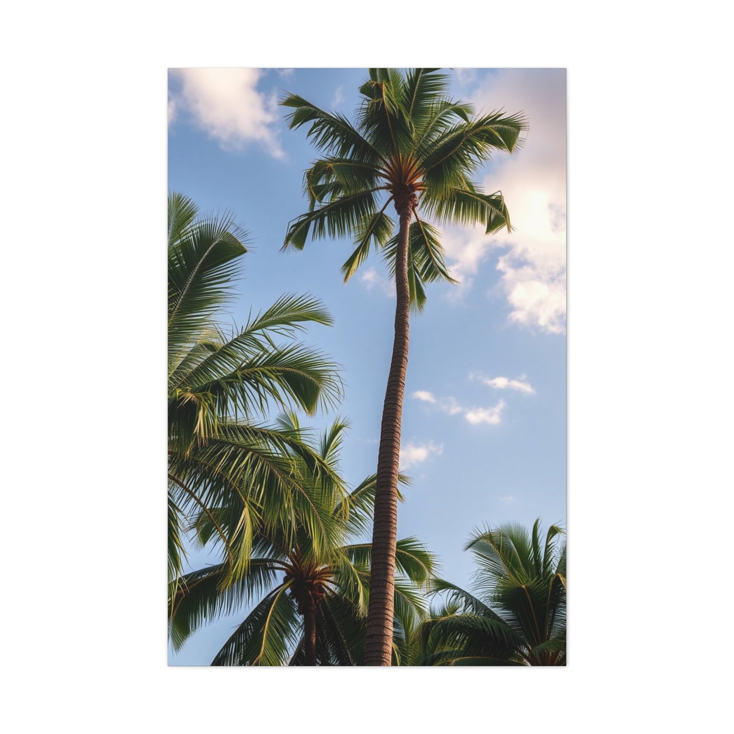 Serene Palms Composition Wall Art & Canvas Print