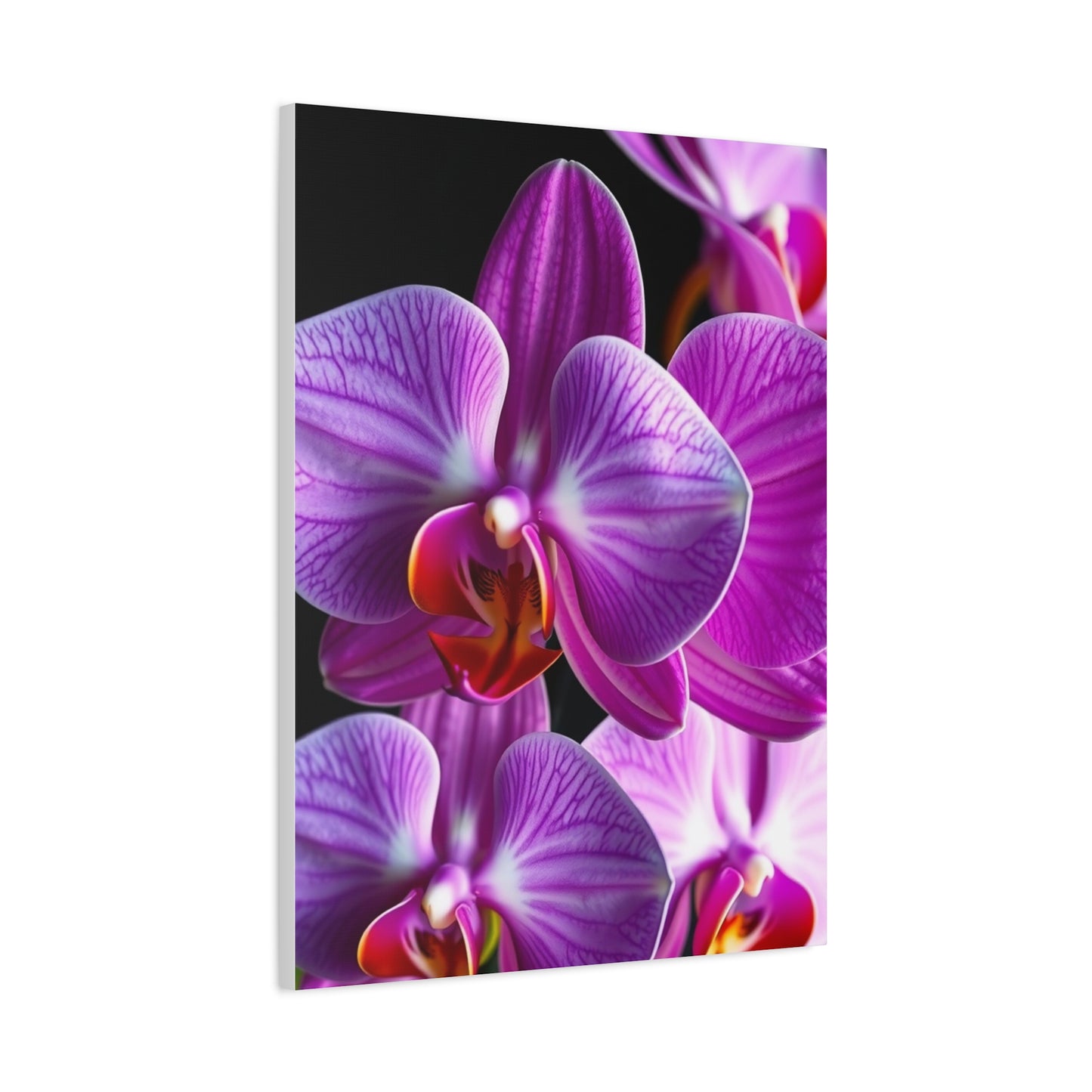 Elite Orchid Flower Art Vision Wall Art & Canvas Print