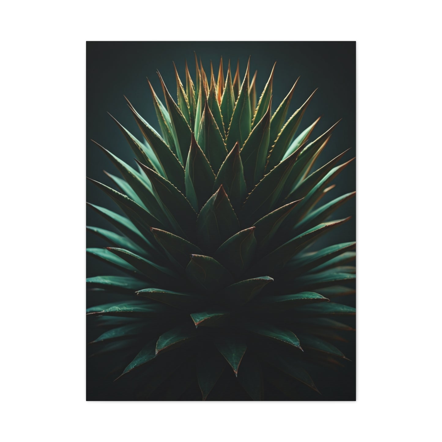Desert Radiance Agave Sculpture Wall Art & Canvas Prints