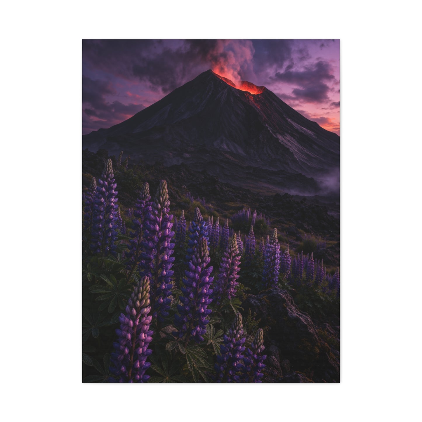 Volcanic Twilight & Wild Lupines Wall Art & Canvas Print