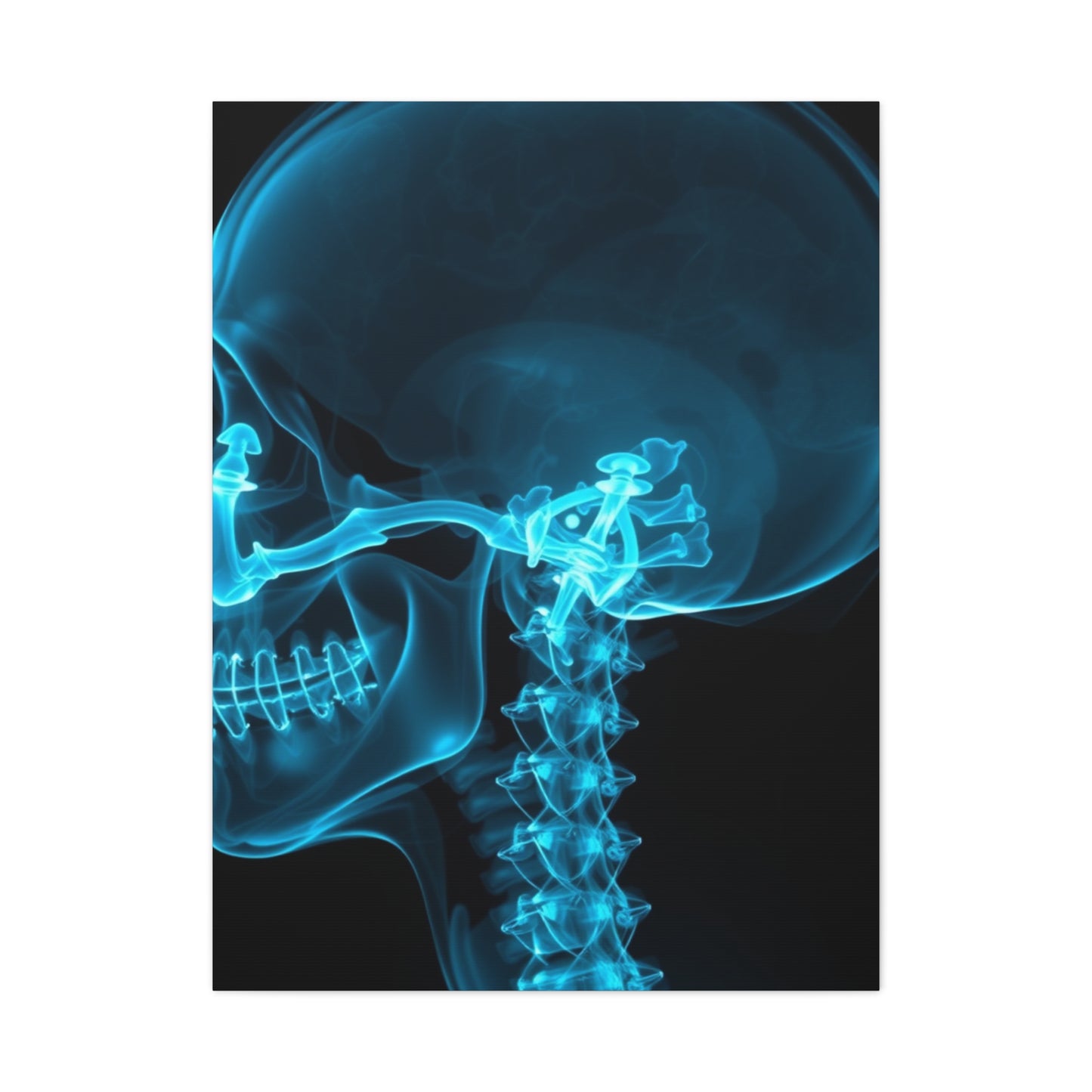 Masterpiece X-Ray Photography Art Vision Wall Art & Canvas Print