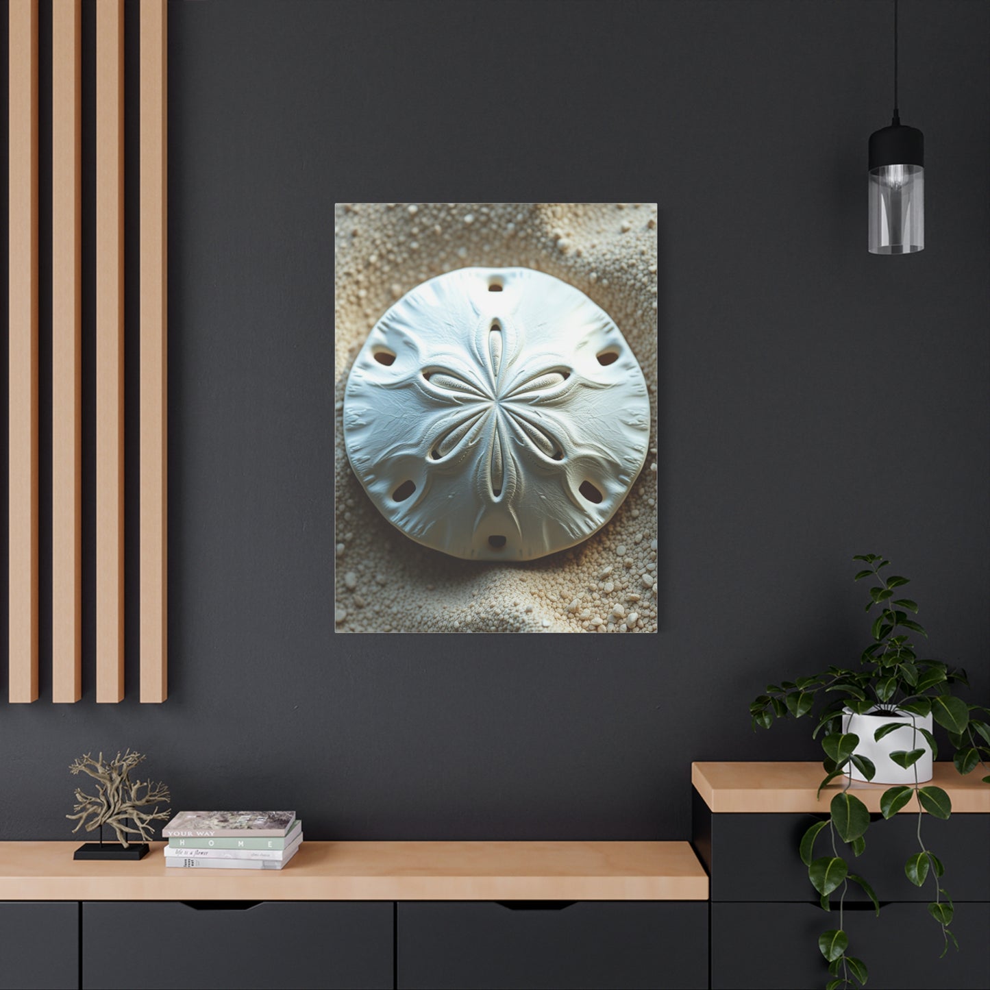 Vision Sand Dollar Art Art Wall Art & Canvas Print